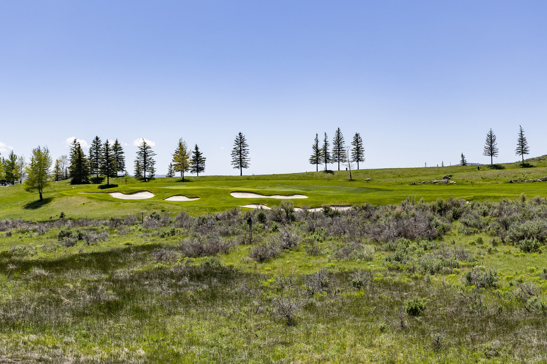  South-facing, Flat Lot on the 4th Green at Glenwild with Ski Resort Views - 物件實景