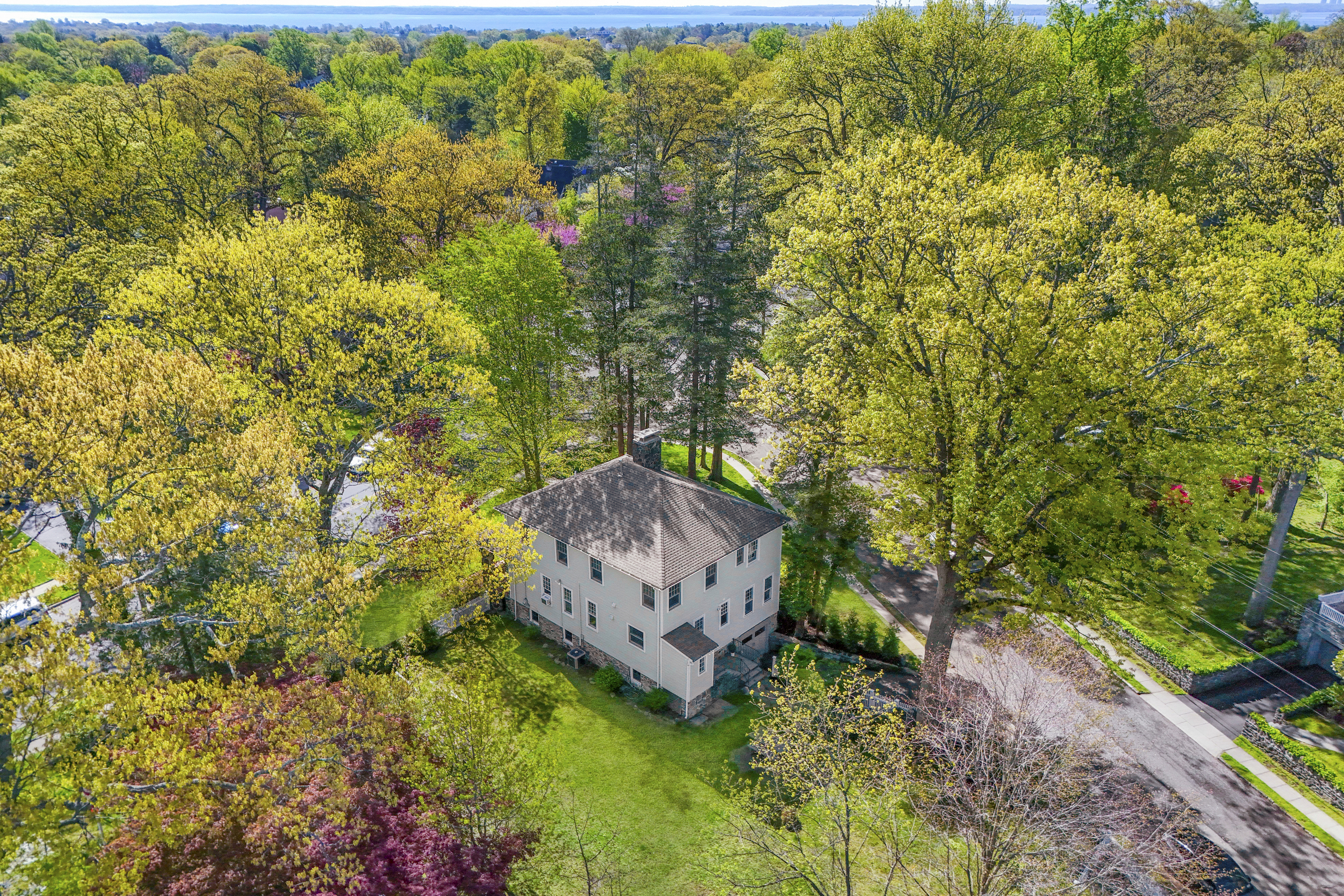  Distinctive Larchmont Colonial - 物件實景