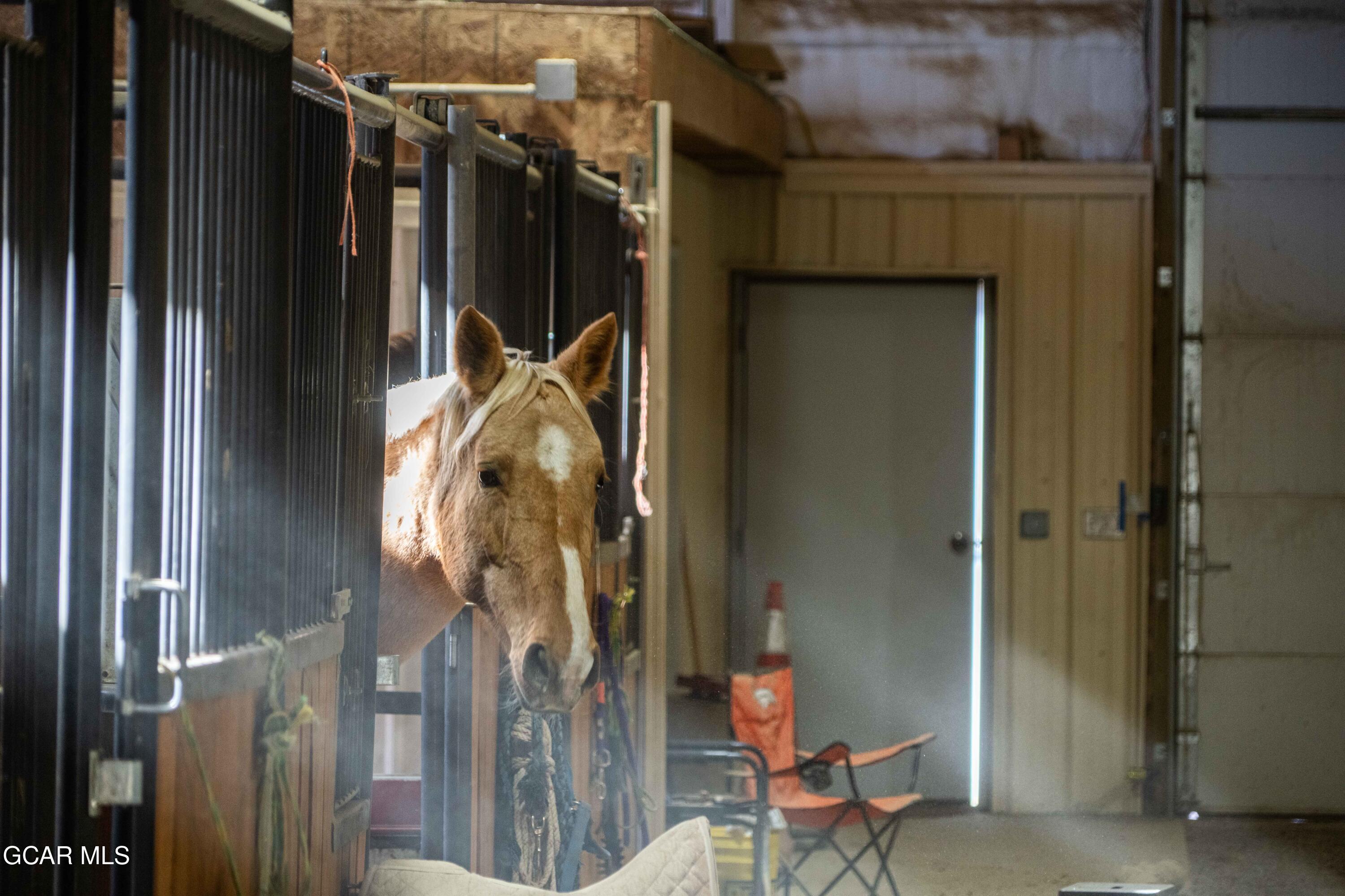 Hot Sulphur Springs, Colorado, 80451, United States, 6 Bedrooms Bedrooms, ,6 BathroomsBathrooms,Residential,For Sale,1999593