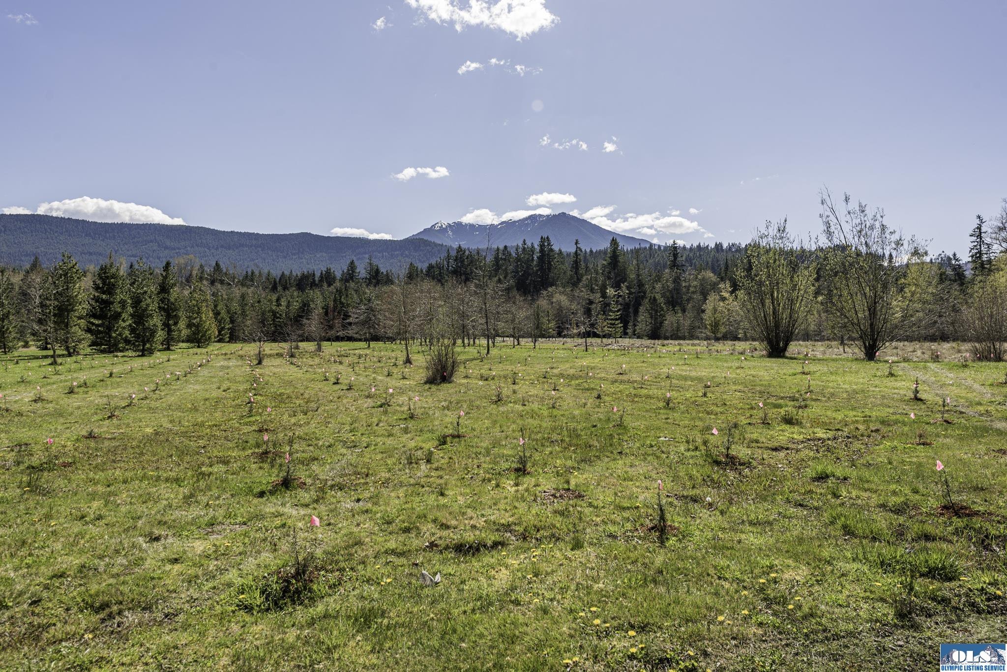 Sequim, Washington, 98382, United States, ,Land,For Sale,1787569
