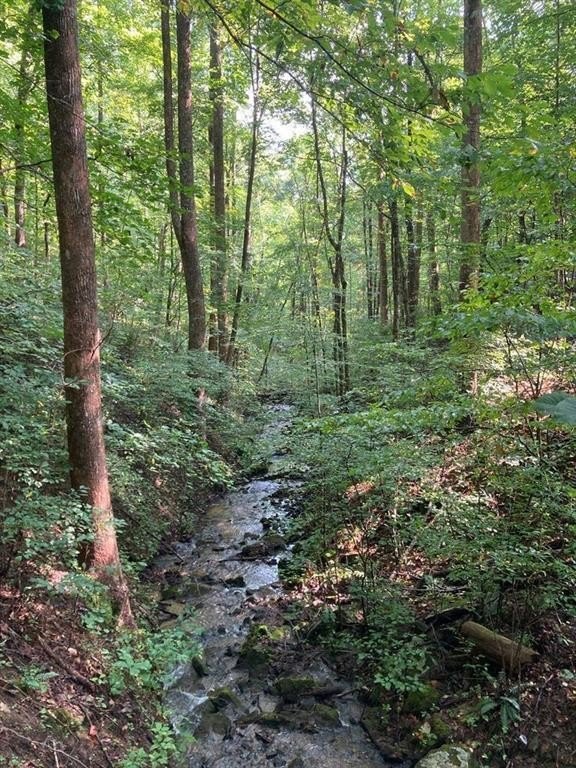 Hiawassee, Georgia, 30546, United States, 3 Bedrooms Bedrooms, ,4 BathroomsBathrooms,Residential,For Sale,1981335