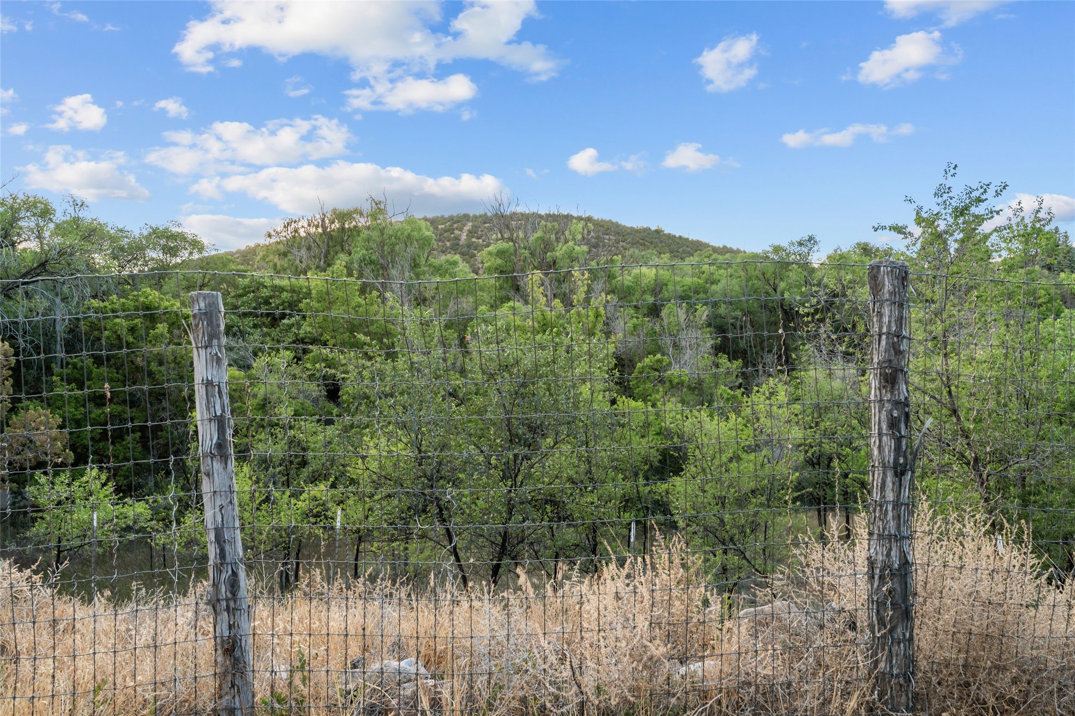  1523 Upper Canyon Road - 物件實景