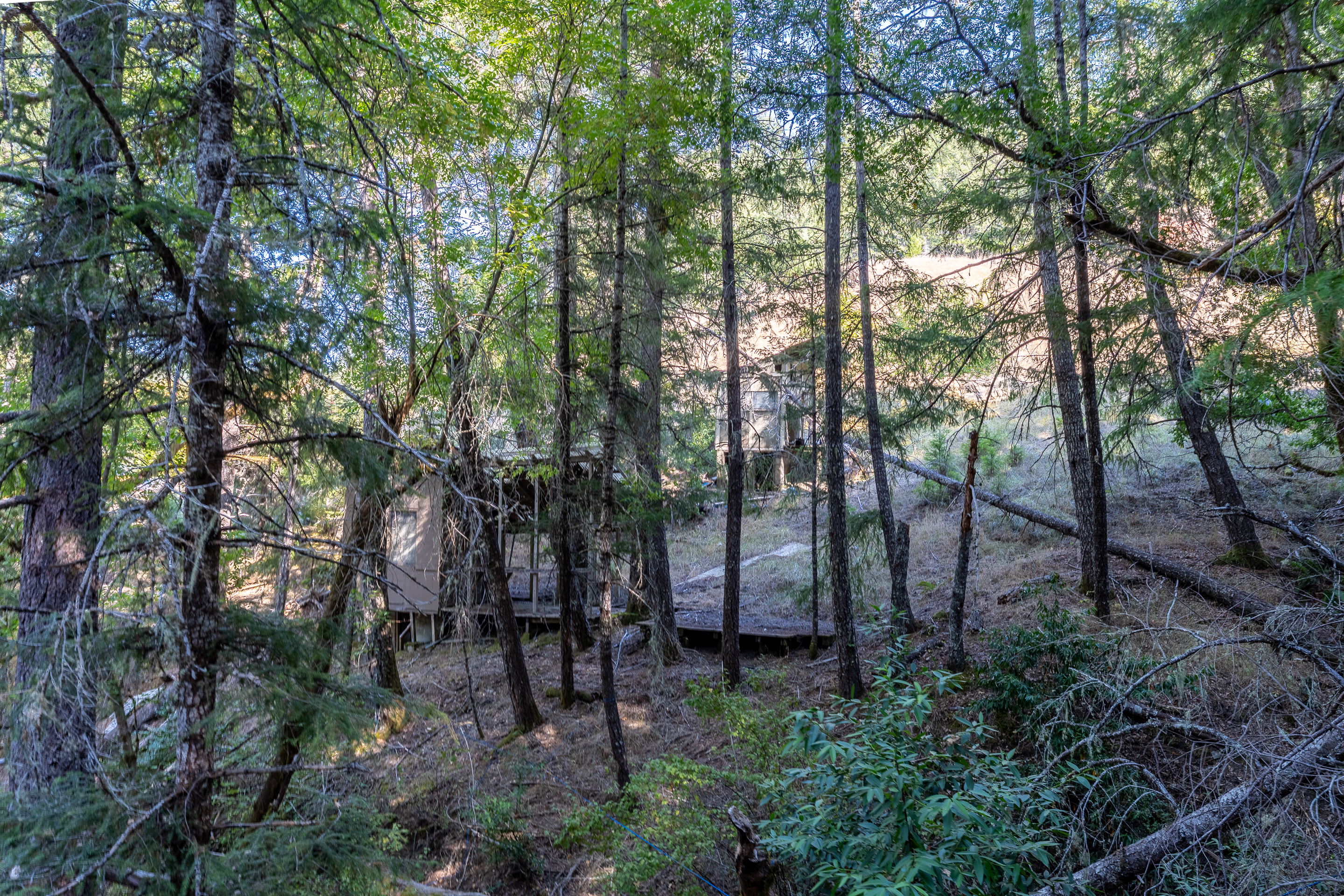 Willits, California, 95490, United States, 2 Bedrooms Bedrooms, ,2 BathroomsBathrooms,Residential,For Sale,1959114