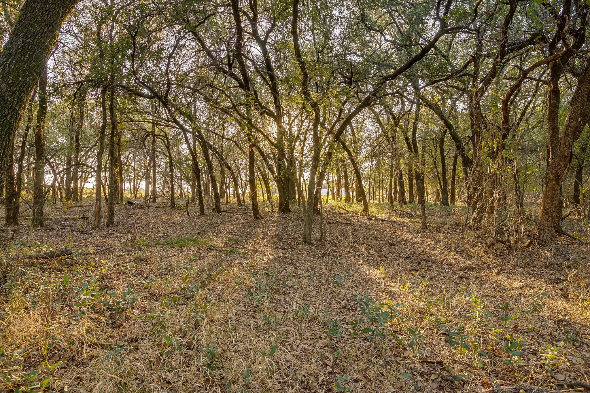  Lot 39 River Canyon, Mineral Wells, TX, 76484 - 物件實景