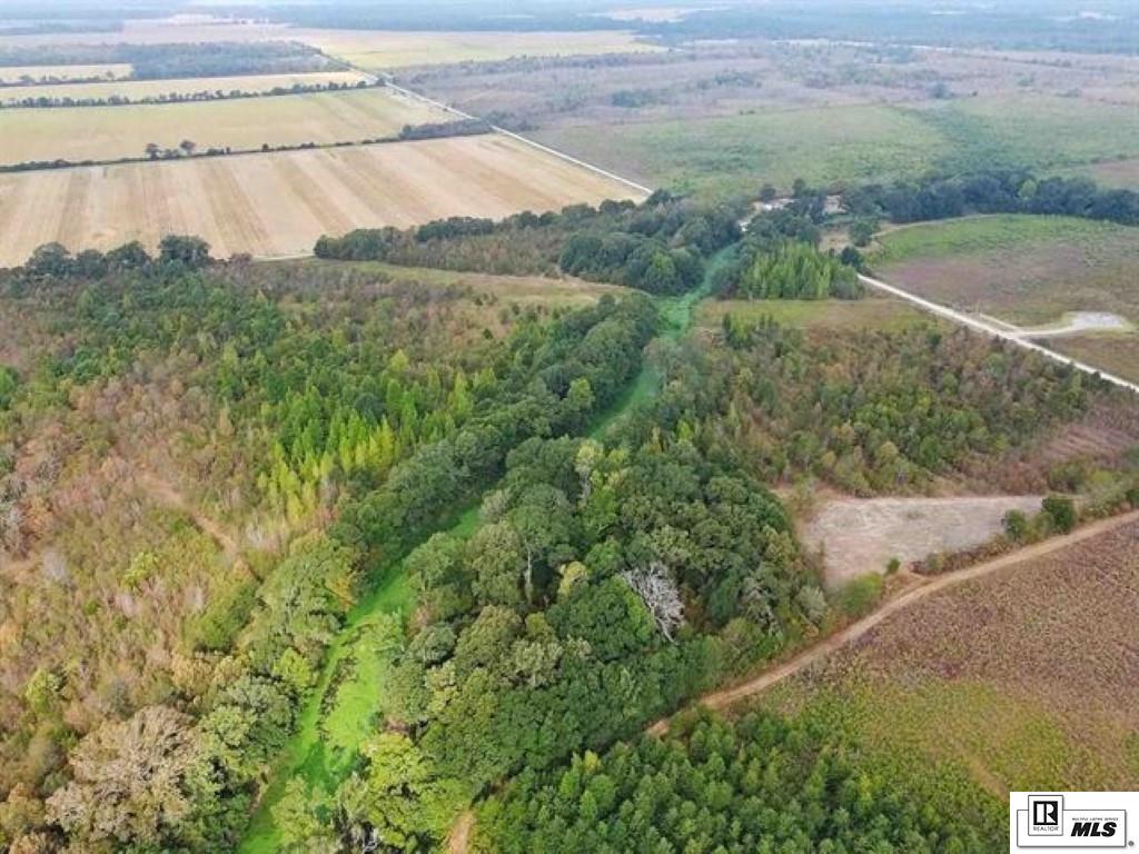 491 FORTENBERRY ROAD, Rayville, Louisiana, 71269, United States, ,Land,For Sale,491 FORTENBERRY ROAD,1683362