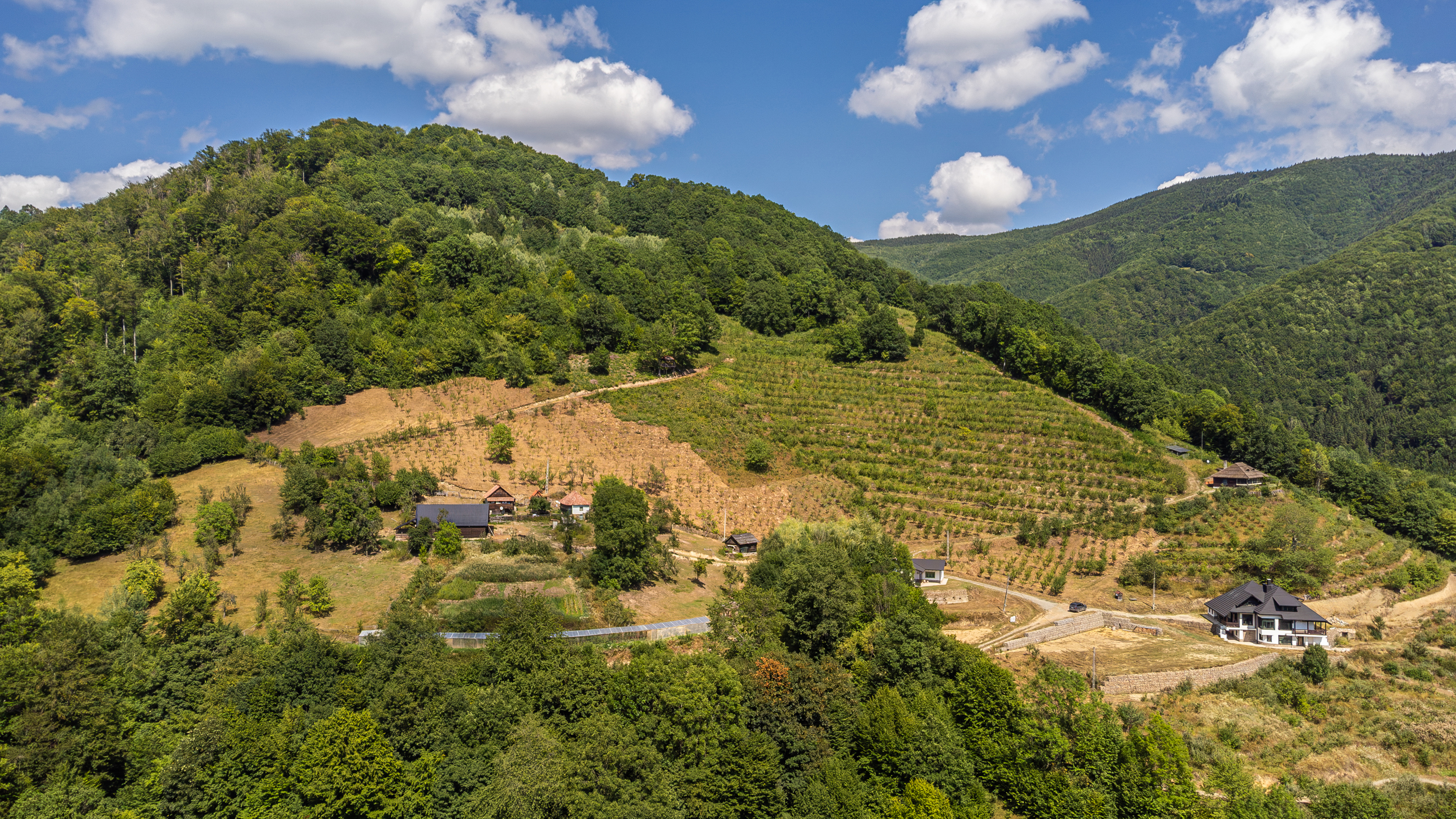  Versatile 22-Hectare Private Estate - Forested Heart of the Apuseni Mountains - 物件實景