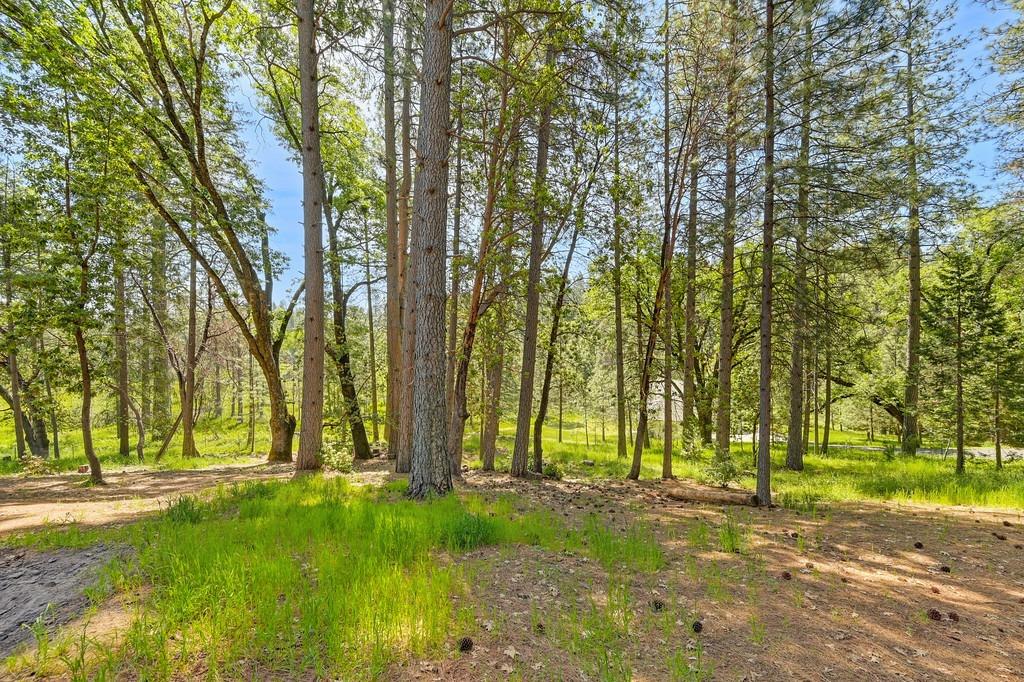 Foresthill, California, 95631, United States, 3 Bedrooms Bedrooms, ,2 BathroomsBathrooms,Residential,For Sale,1819375