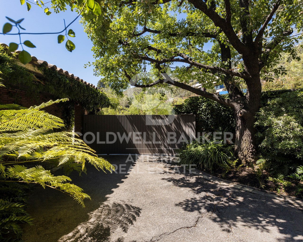 Barcelona, Barcelona, Les Corts, Pedralbes Barcelo, Barcelona, Catalonia, ES, 5 Bedrooms Bedrooms, ,2 BathroomsBathrooms,Residential,For Sale,Barcelona, Barcelona, Les Corts, Pedralbes Barcelo,1531917