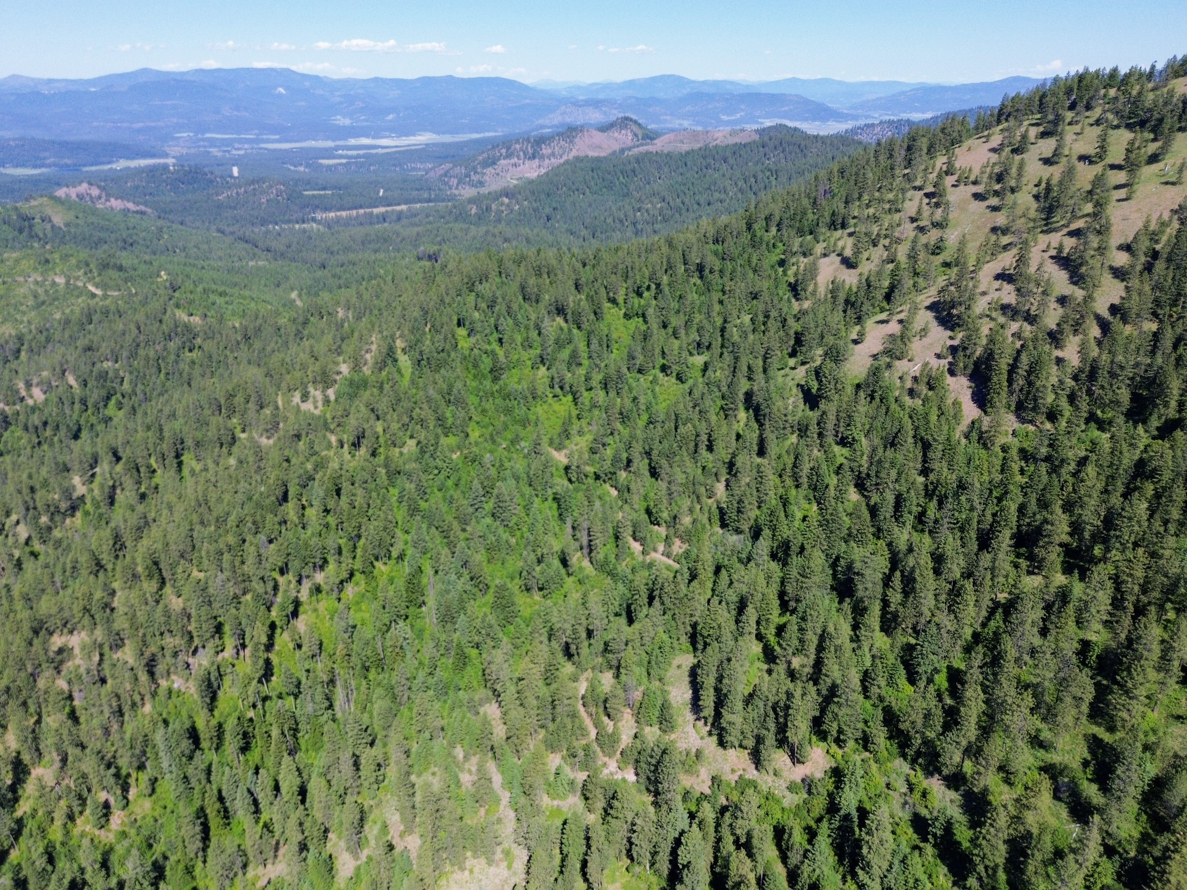 Loon Lake, Washington, 99148, United States, ,Residential,For Sale,1922836