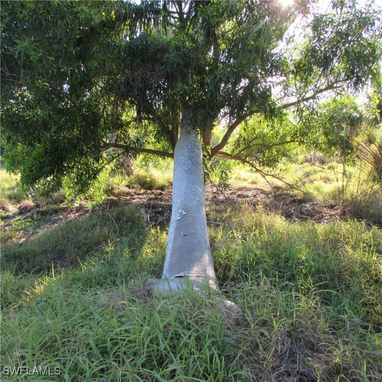 St. James City, Florida, 33956, United States, ,Residential,For Sale,1852355