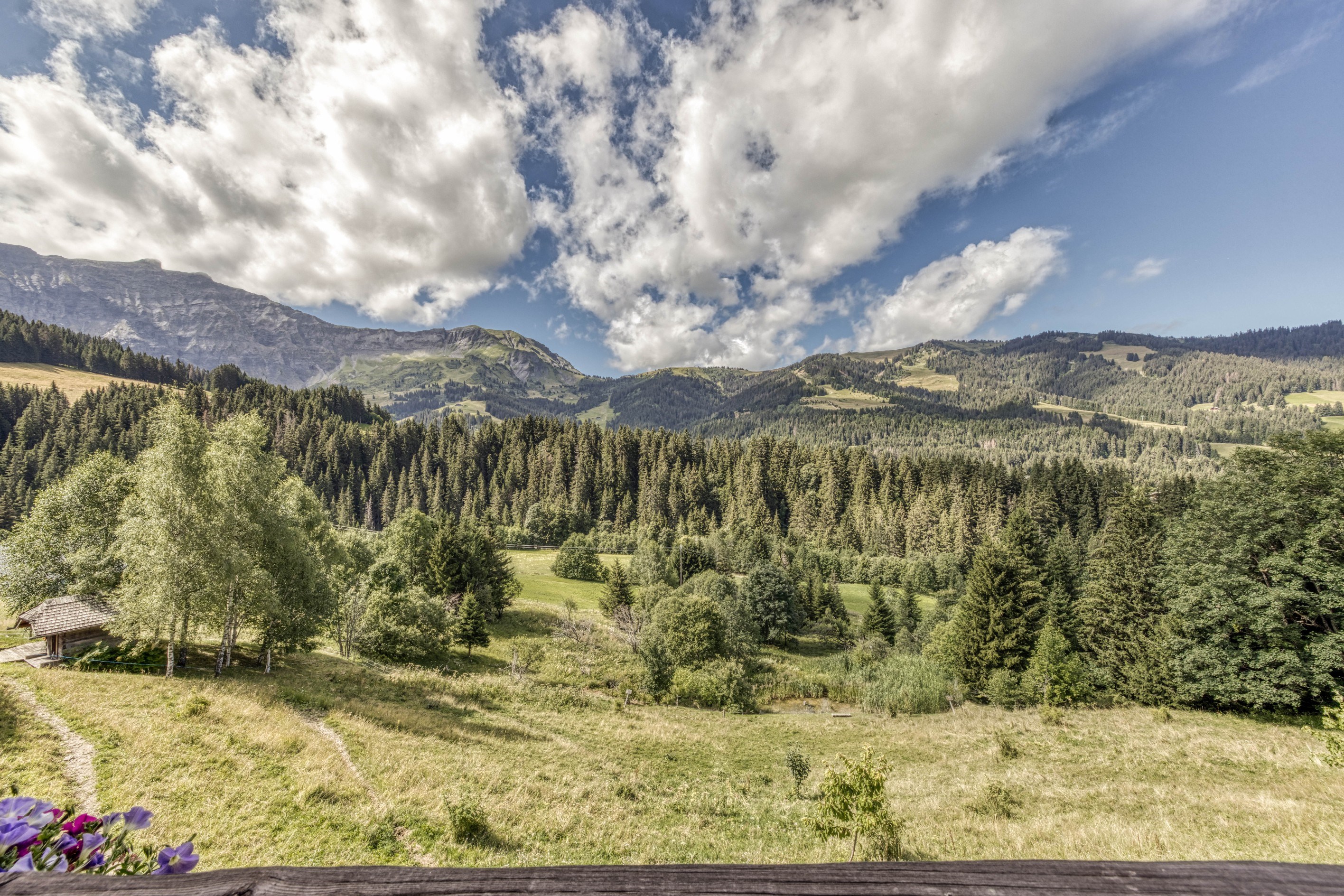  Domaine Épervier - Two connected chalets on a 20,000 m² plot - 物件實景