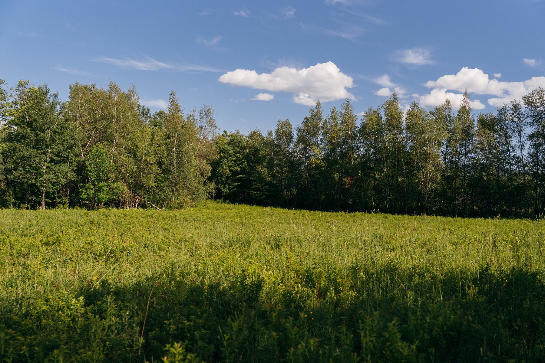  Sutton, Eastern Townships - 物件實景