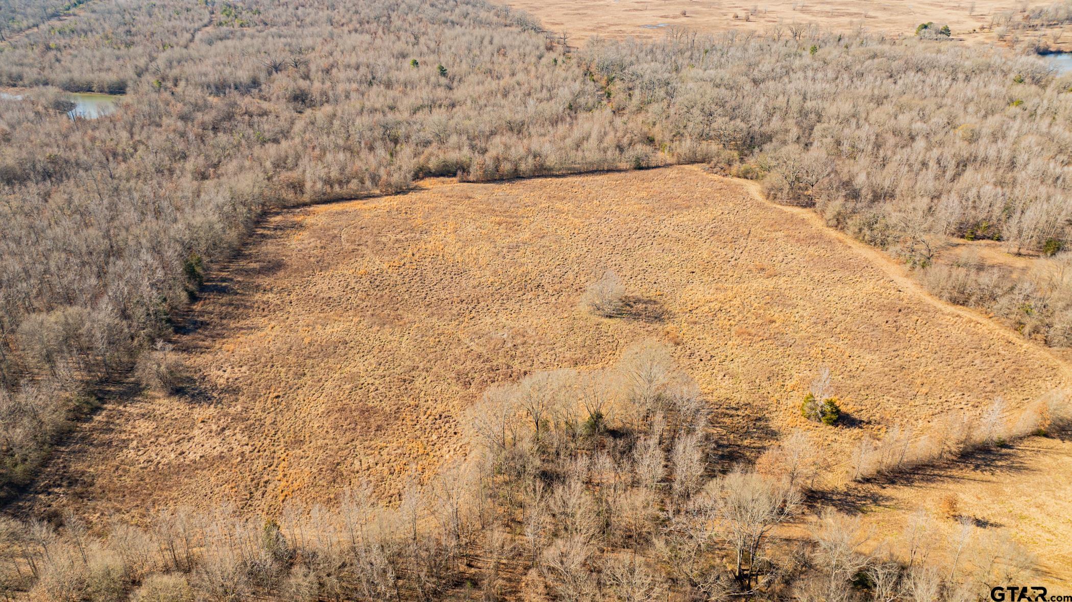 Dekalb, Texas, 75559, United States, ,Land,For Sale,1983481