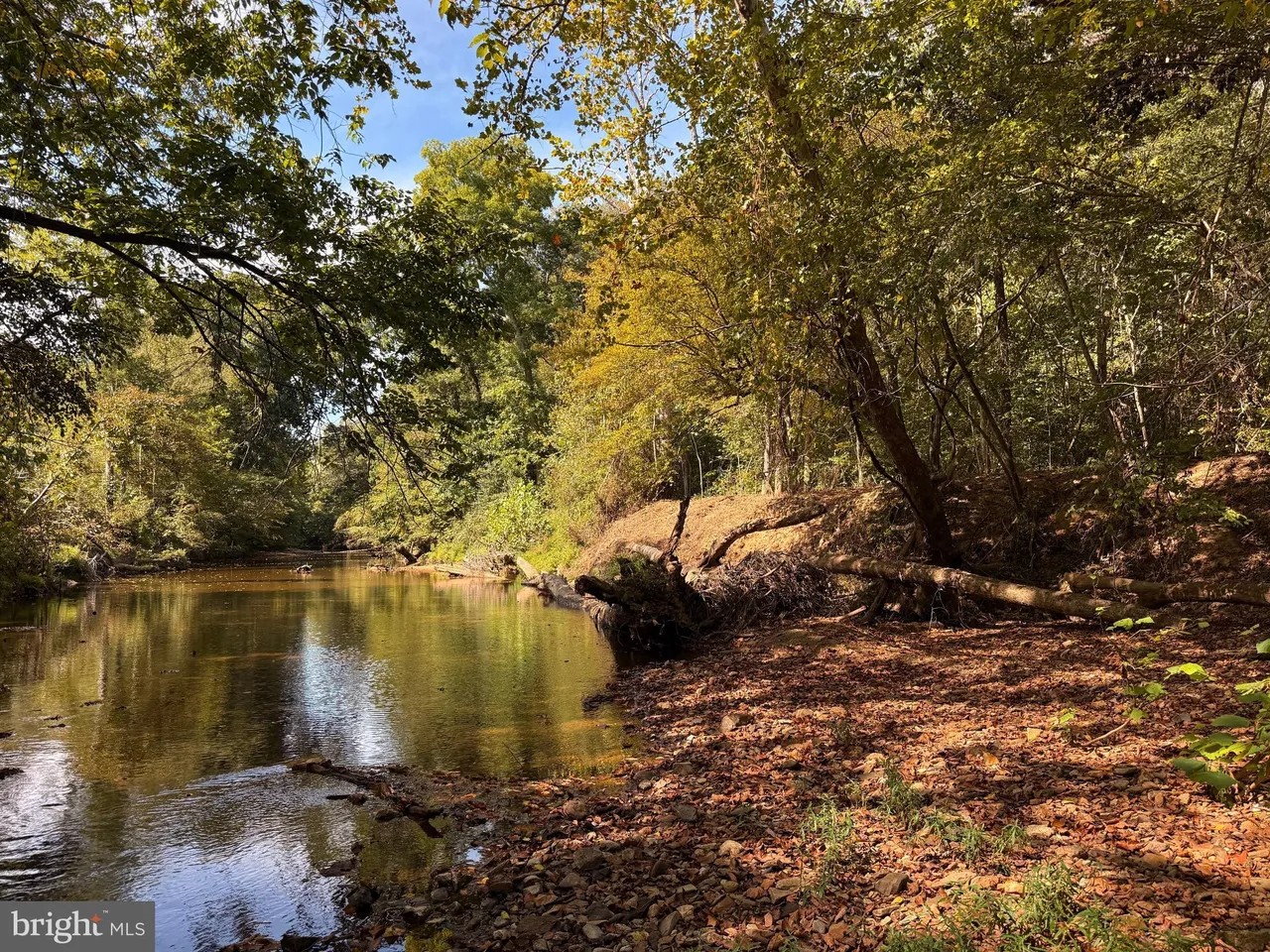 Appomattox, Virginia, 24522, United States, ,Land,For Sale,1982903