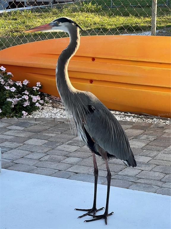 St Petersburg, Florida, 33705, United States, 4 Bedrooms Bedrooms, ,3 BathroomsBathrooms,Residential,For Sale,1991648