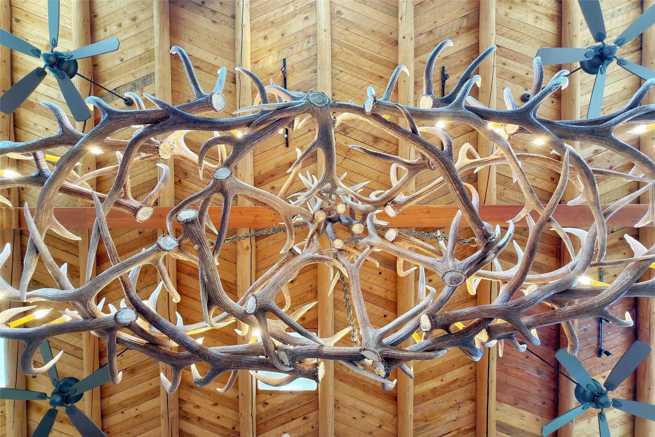  98 La Barbaria Trail - 物件實景