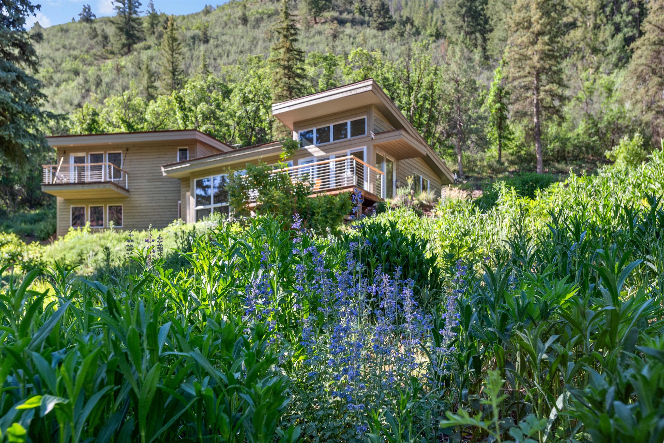  768 Kings Lake Road, Basalt, CO 81621 - 物件實景
