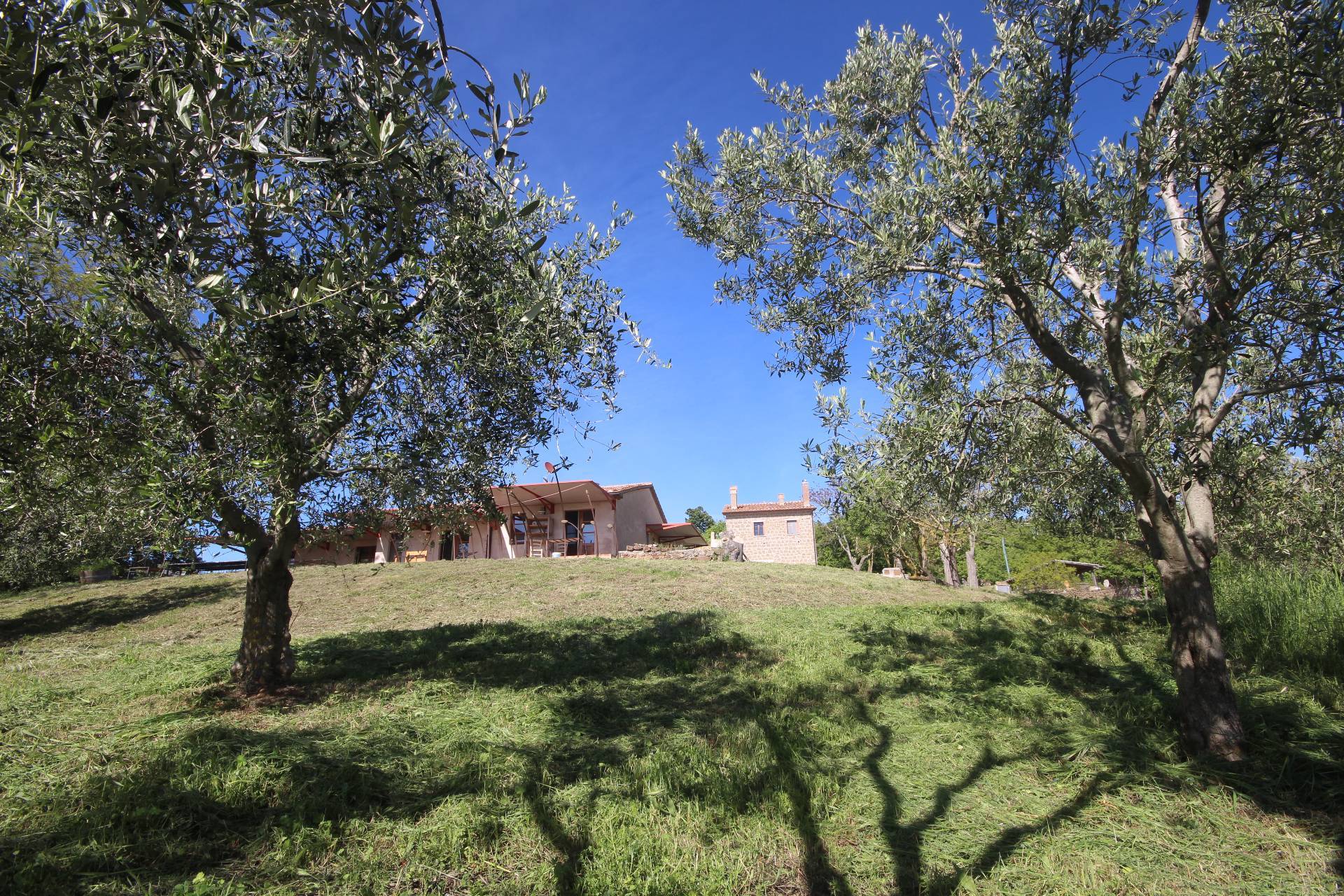 Loc III san giovanni, Manciano, Grosseto, 52040, IT, 8 Bedrooms Bedrooms, ,8 BathroomsBathrooms,Residential,For Sale,Loc III san giovanni,1616981