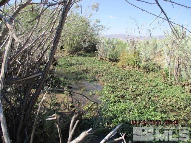 Orovada, Nevada, 89425, United States, ,Residential,For Sale,1860452