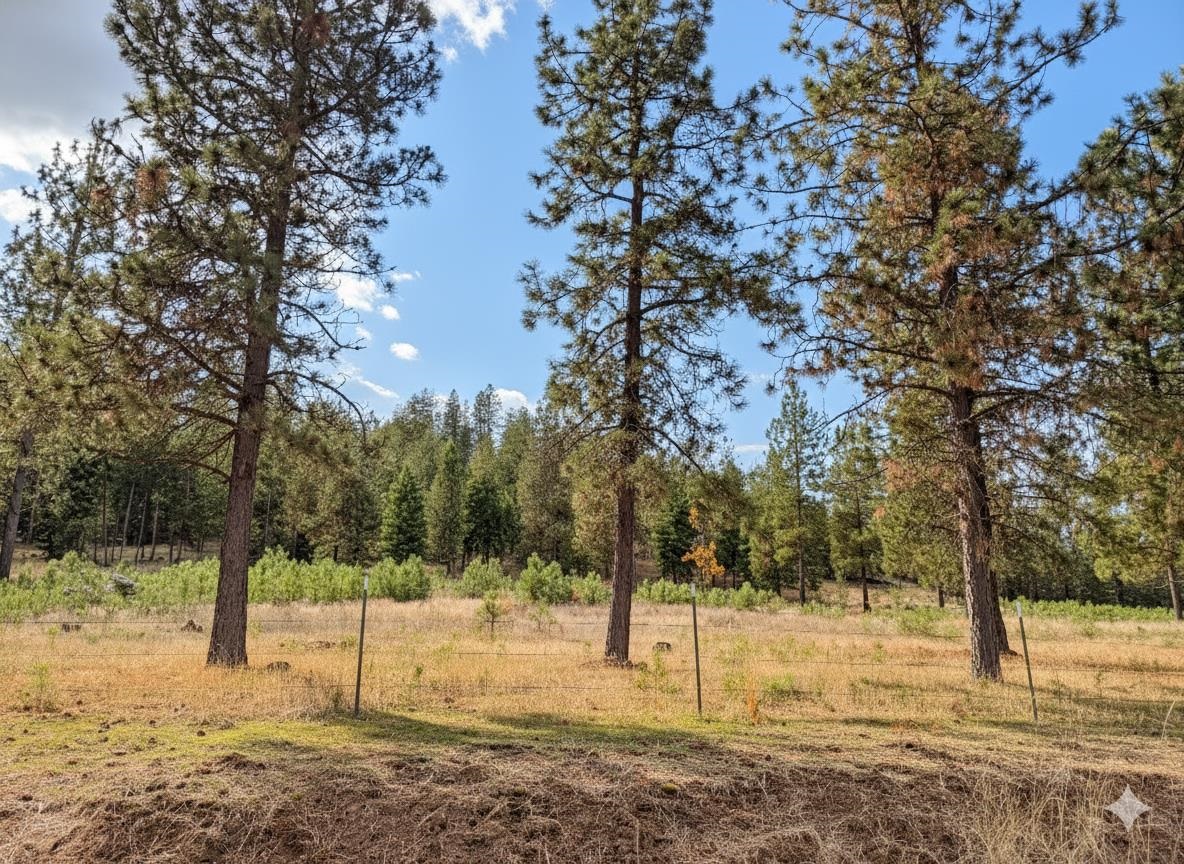 Deer Park, Washington, 99006, United States, 4 Bedrooms Bedrooms, ,3 BathroomsBathrooms,Residential,For Sale,1992007