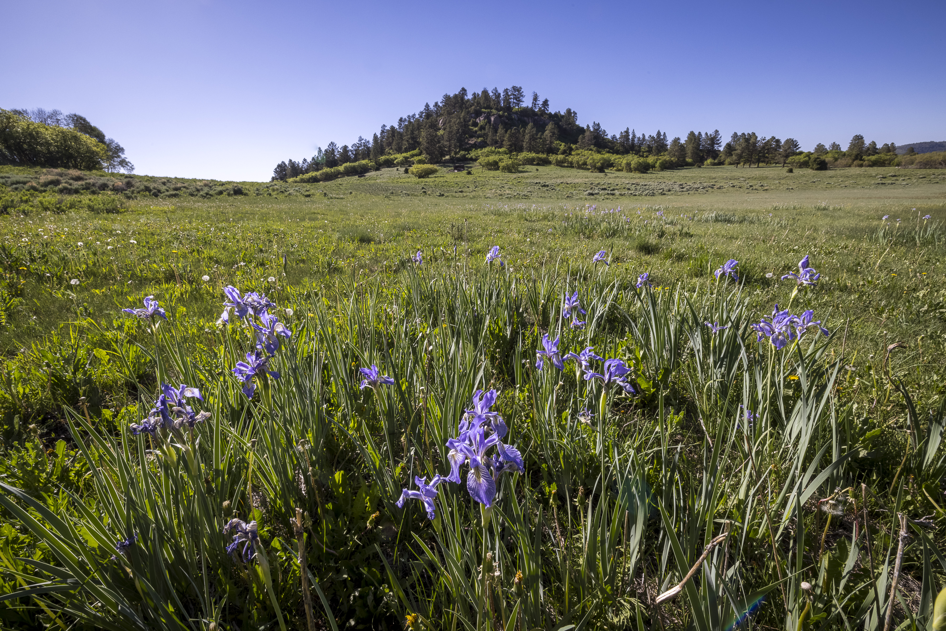  Telluride Renegade Ranch - 602 acres on Hastings Mesa - 物件實景