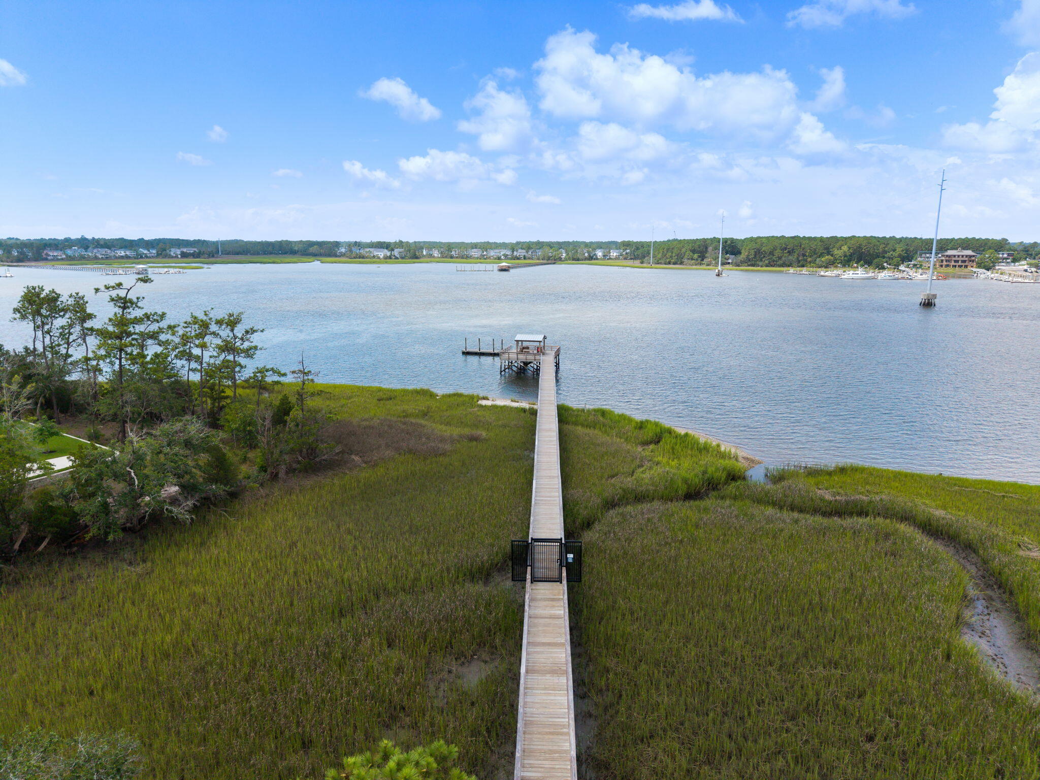 Charleston, South Carolina, 29492, United States, 4 Bedrooms Bedrooms, ,6 BathroomsBathrooms,Residential,For Sale,2008114