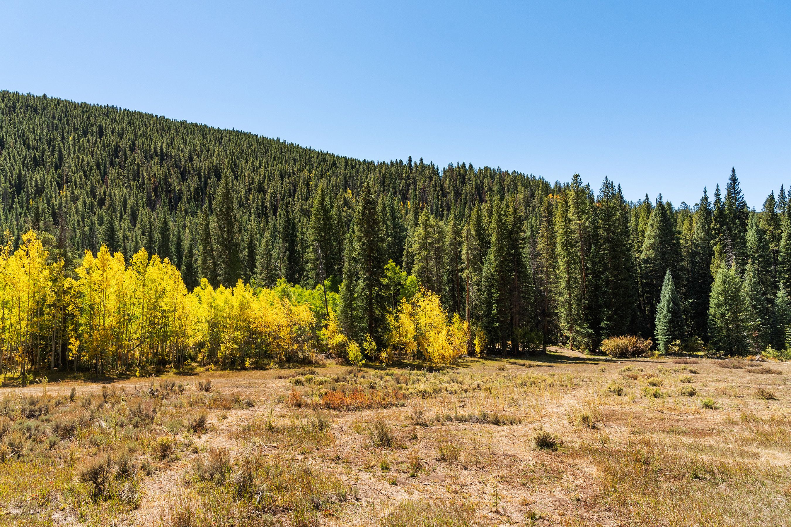  2450 North Fork Road, Meredith, CO, 81642 - 物件實景