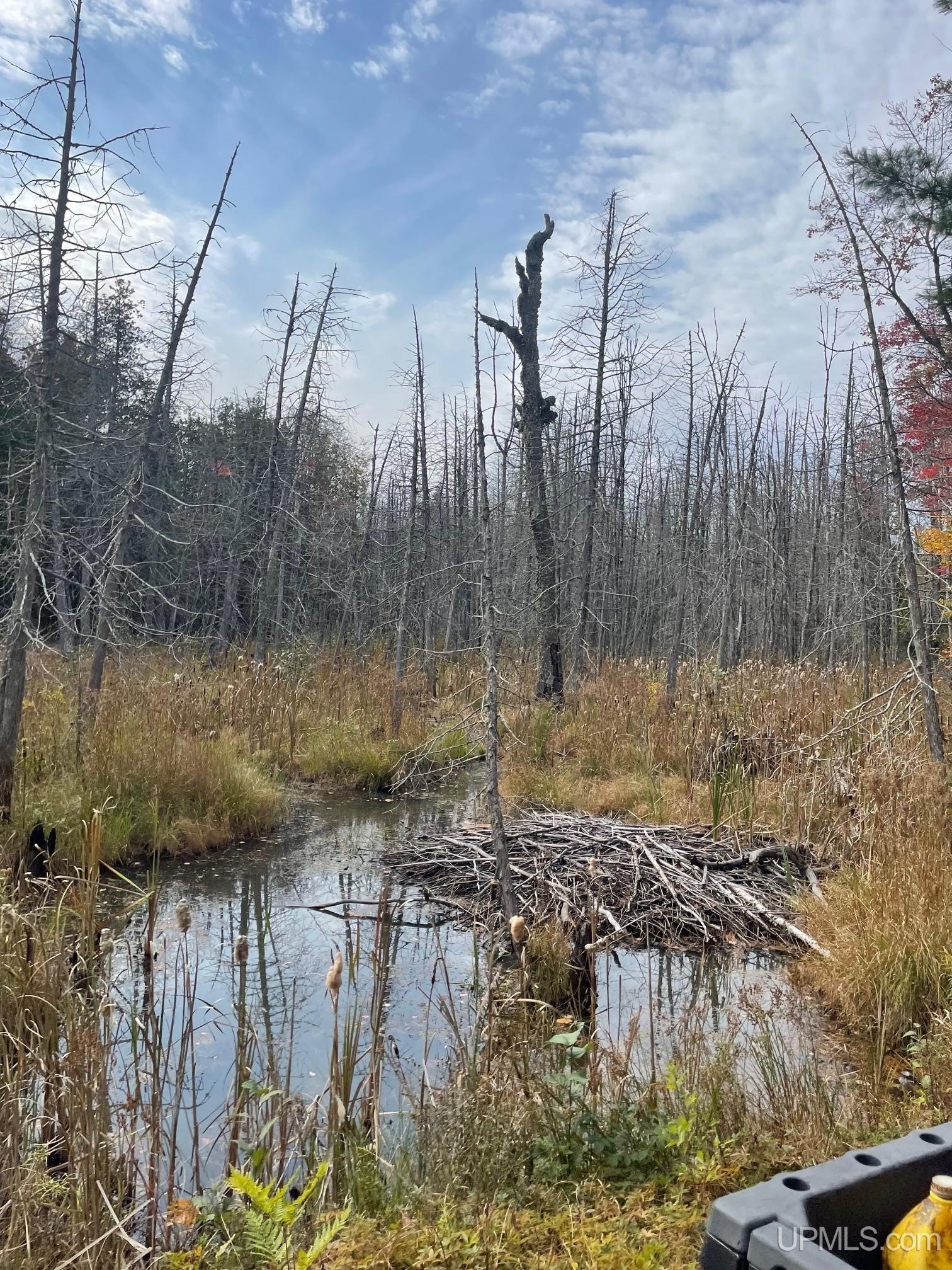 Ishpeming, Michigan, 49829, United States, ,Land,For Sale,1980384