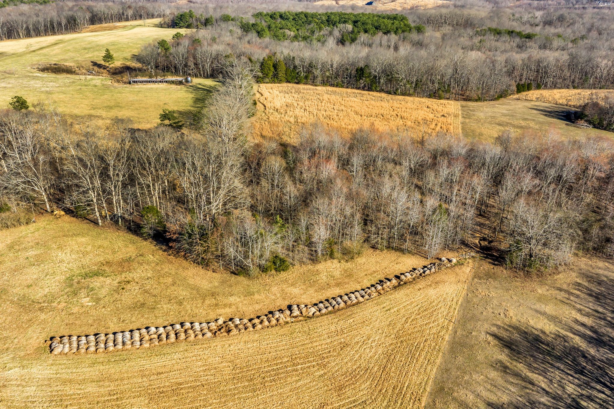  2340 Ridge Road, McEwen, TN 37101 - 物件實景