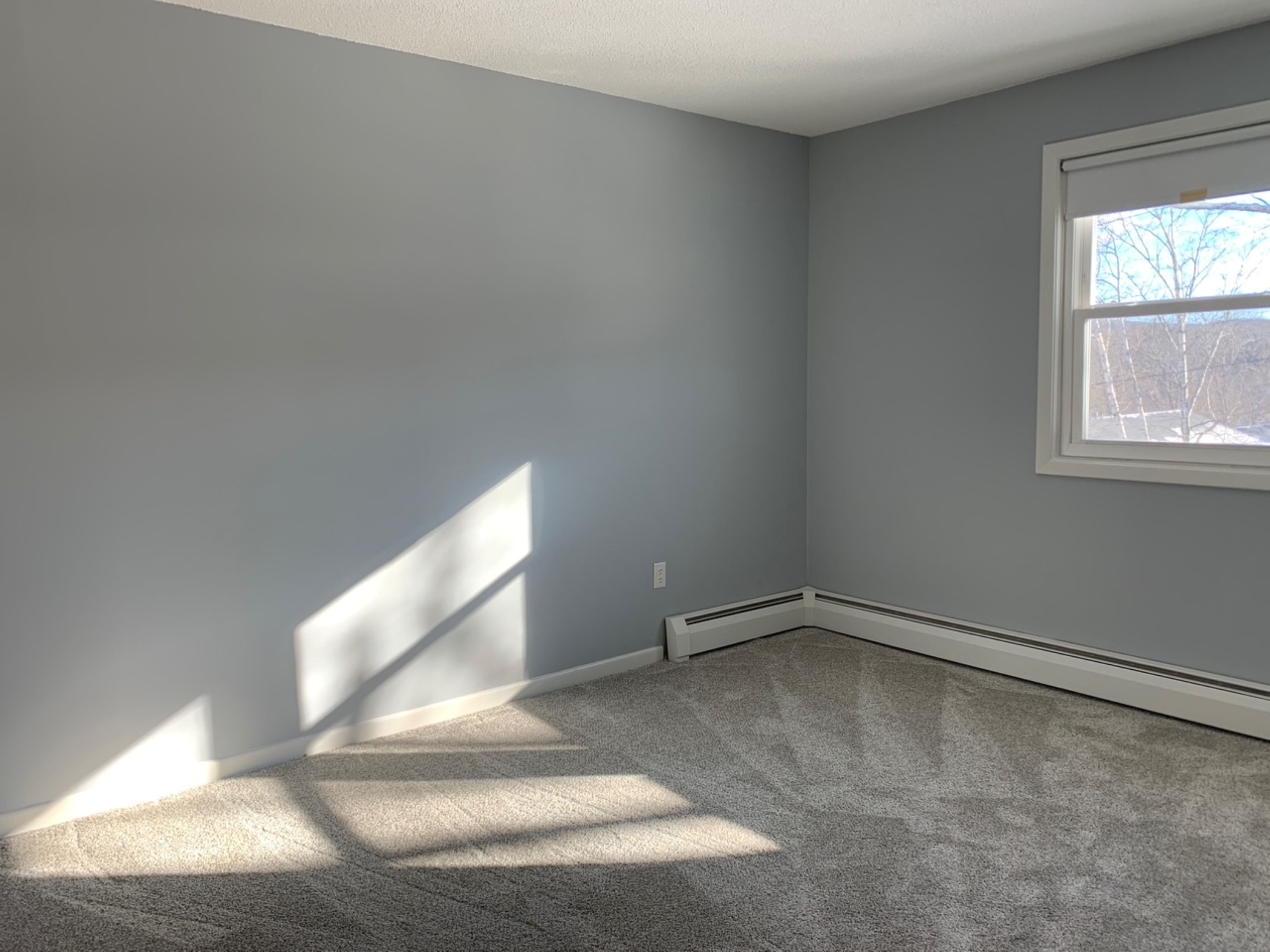  Convenient Lenox Condo - 物件實景