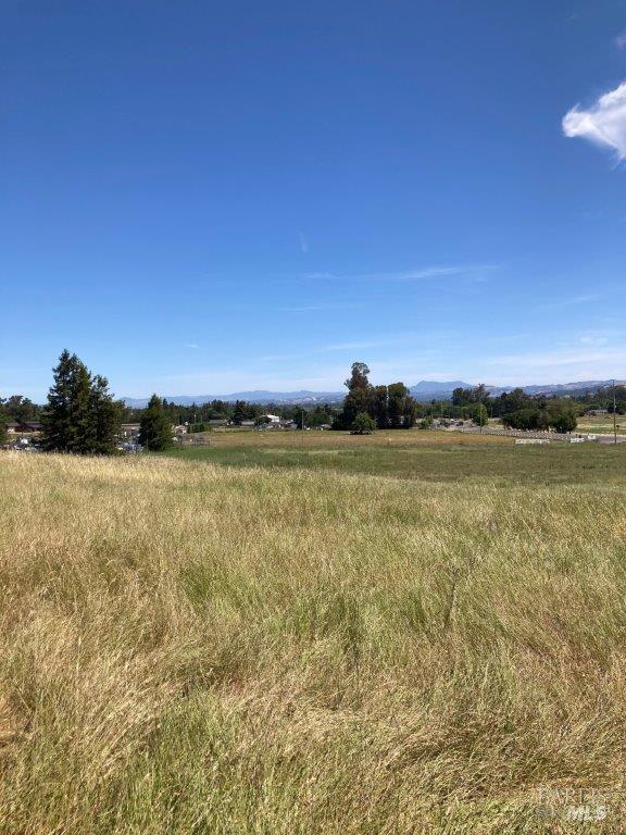 Cotati, California, 94931, United States, ,Residential,For Sale,1909249