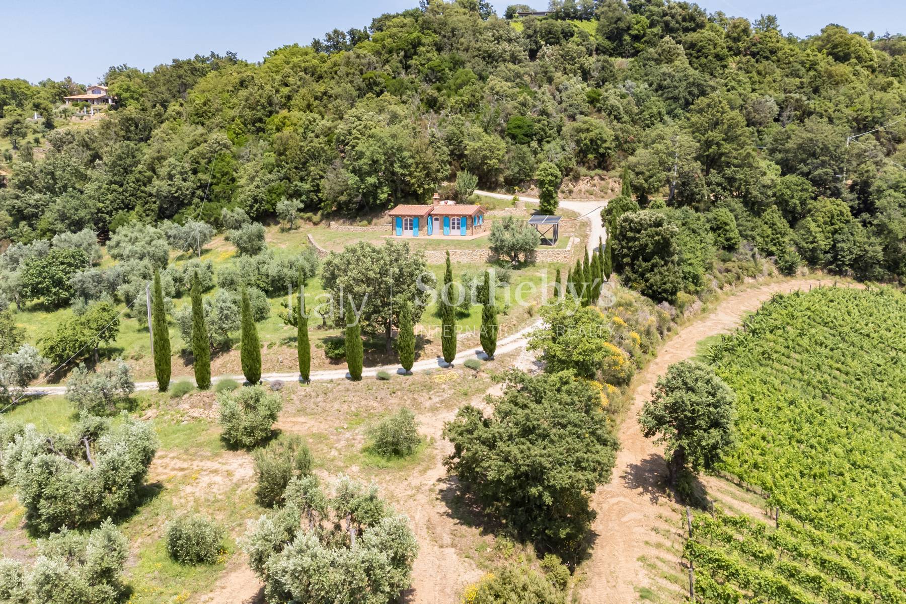  Enchanting property in maremma with vineyards and sea view - 物件實景