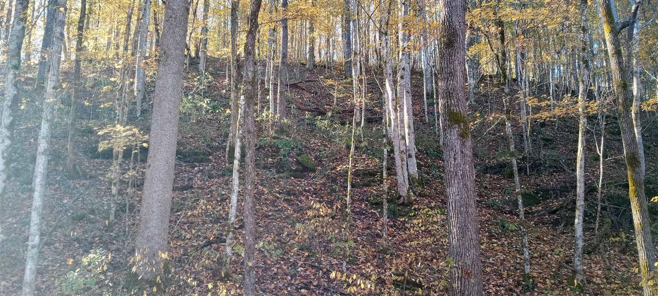 Willow Shade, Kentucky, 42166, United States, 3 Bedrooms Bedrooms, ,2 BathroomsBathrooms,Residential,For Sale,1991903