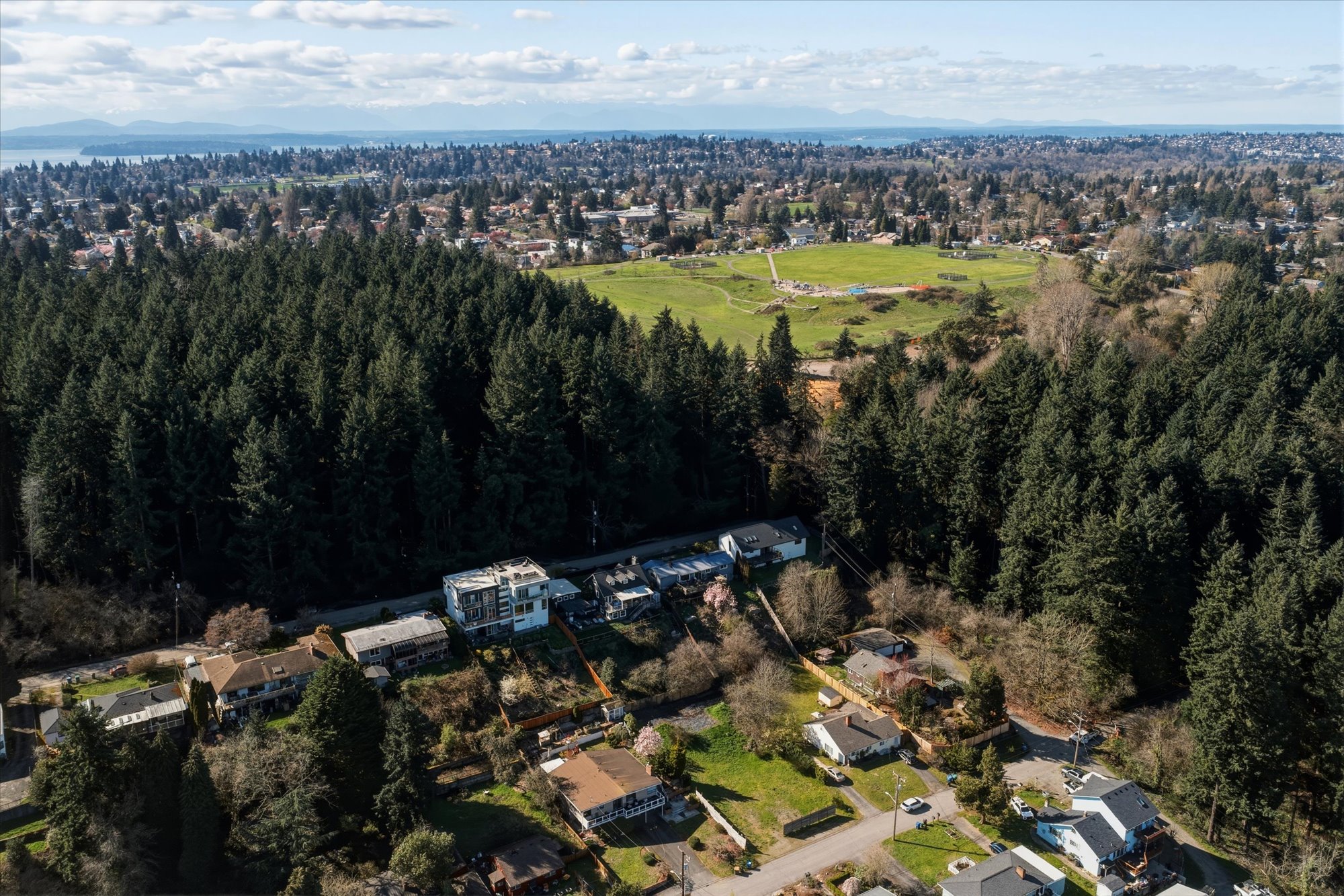 9017 3rd Avenue Southwest, Seattle, WA 98106 - 物件實景