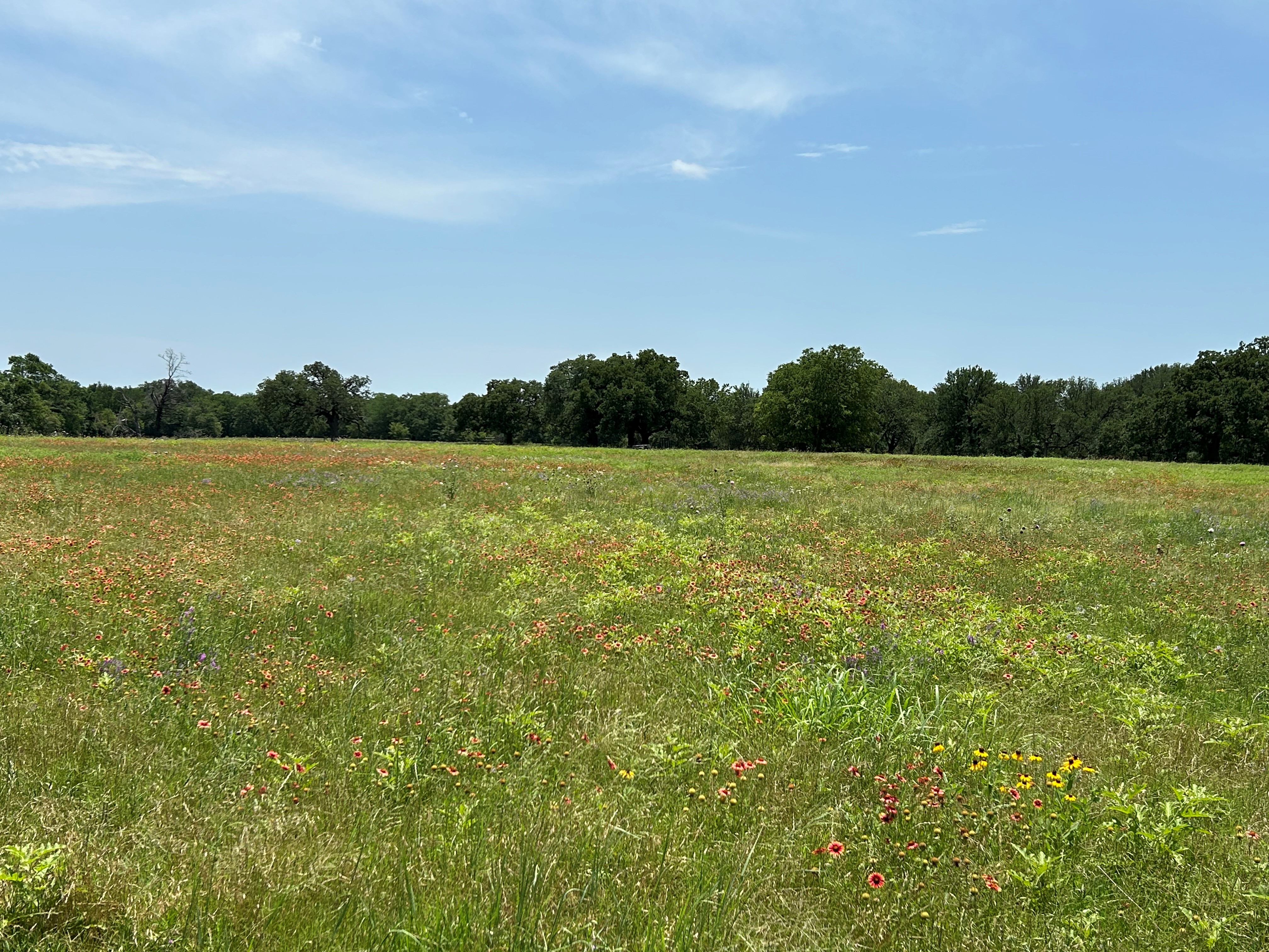 Bridgeport, Texas, 76426, United States, ,Residential,For Sale,1697871
