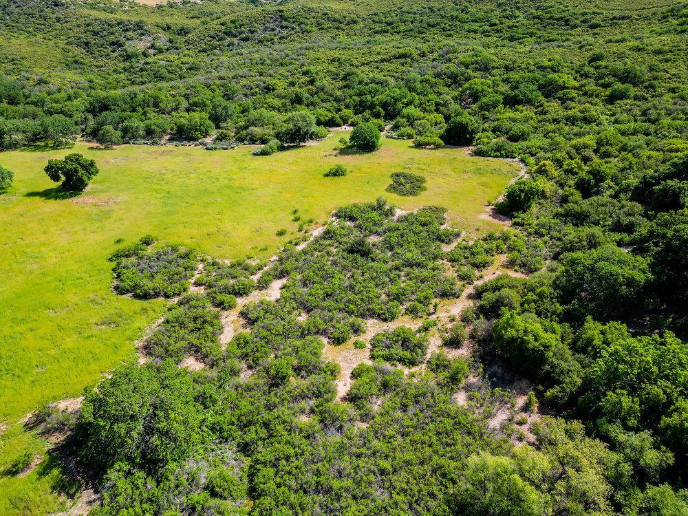 Greenfield, California, 93927, United States, ,Residential,For Sale,1943227