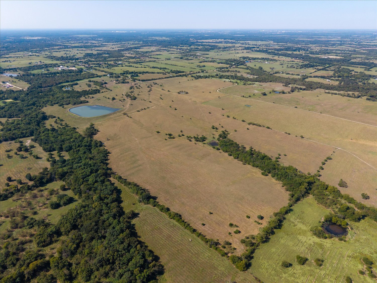 Campbell, Texas, 75422, United States, ,Land,For Sale,2014802