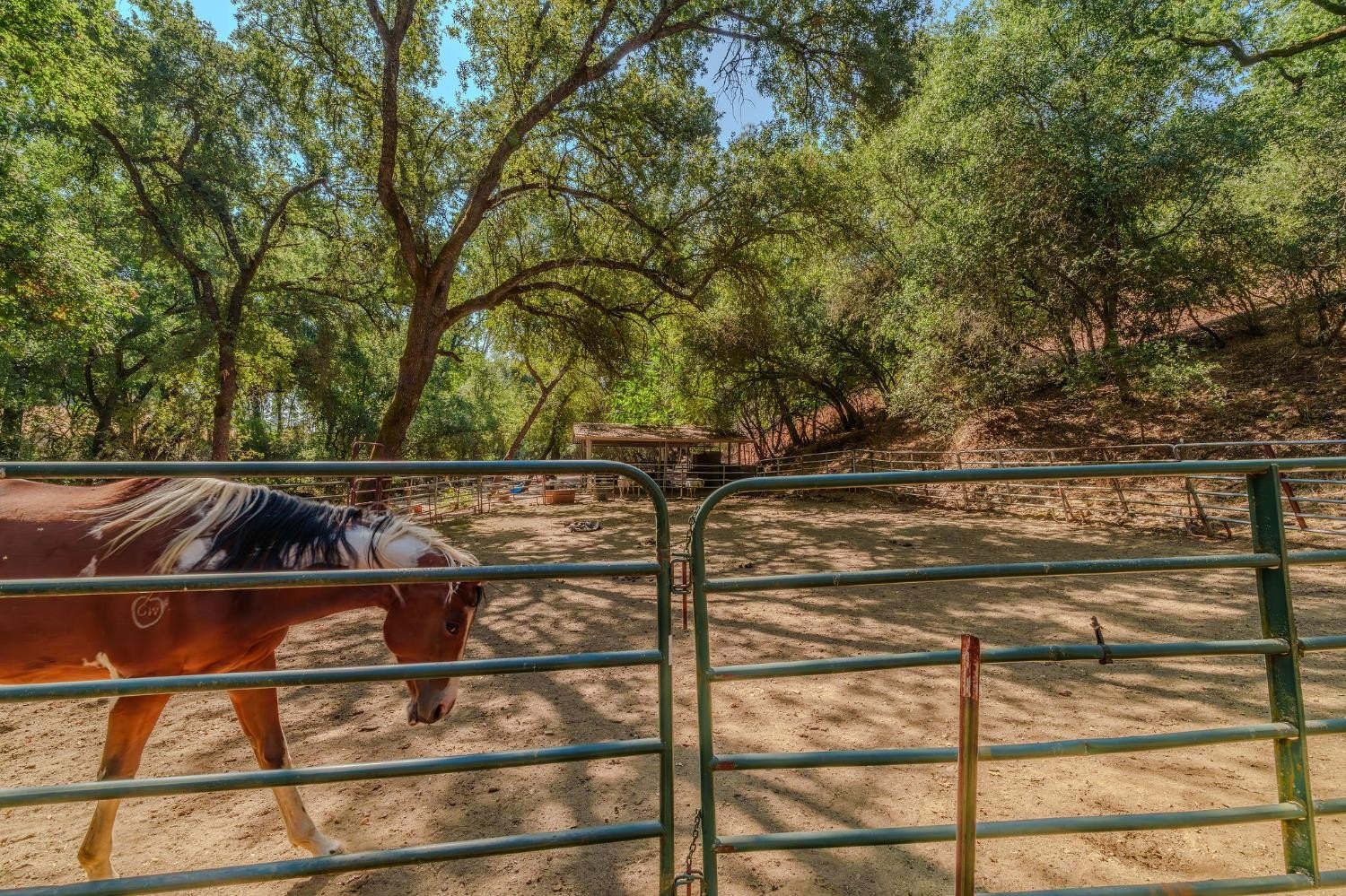 San Andreas, California, 95249, United States, 2 Bedrooms Bedrooms, ,2 BathroomsBathrooms,Residential,For Sale,1980033