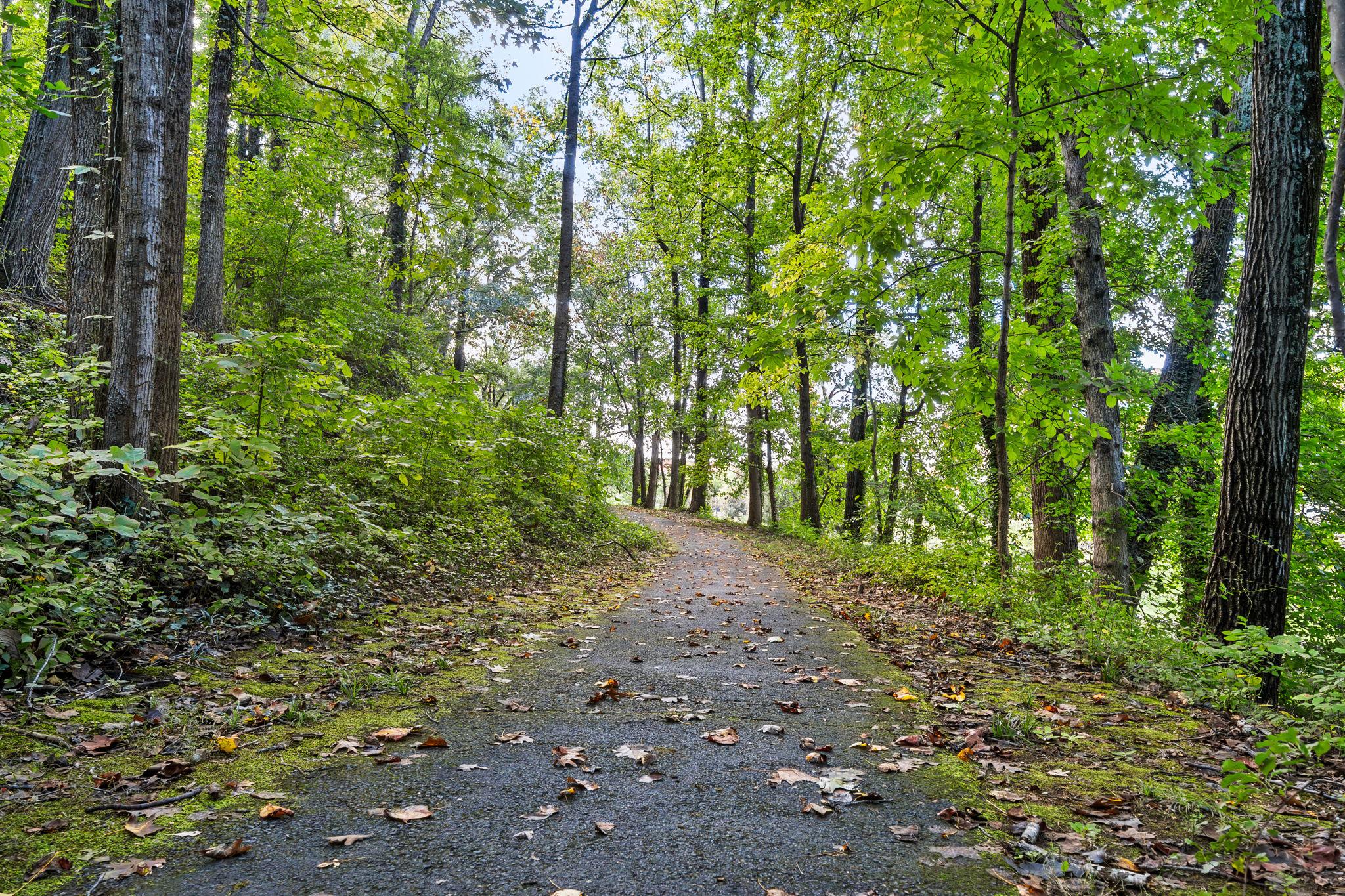 5413 Cheyenne Knoll Place, Alexandria, VA, 22312 - 物件實景