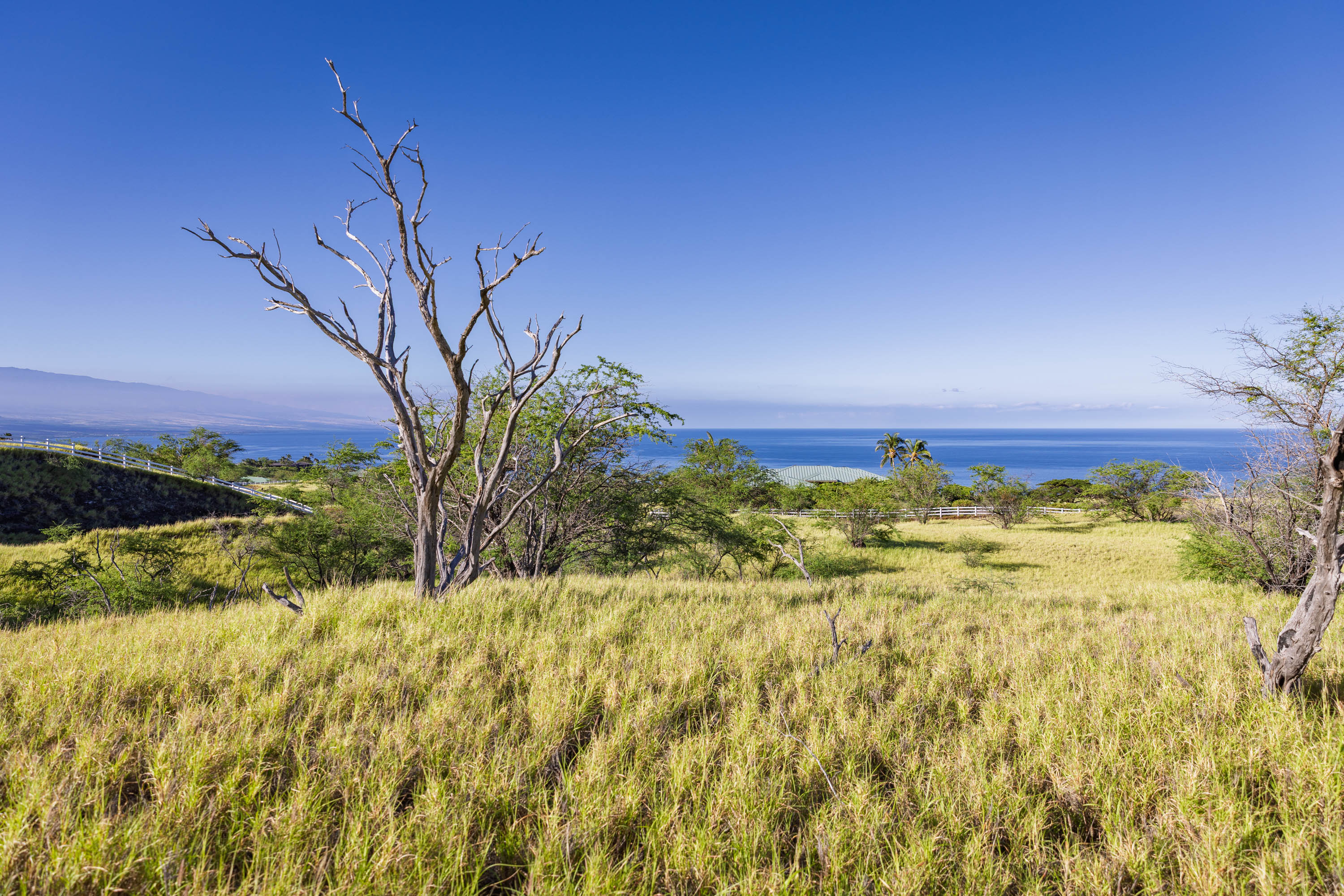  59-670 Kaala Road, Kamuela, HI, 96743 - 物件實景