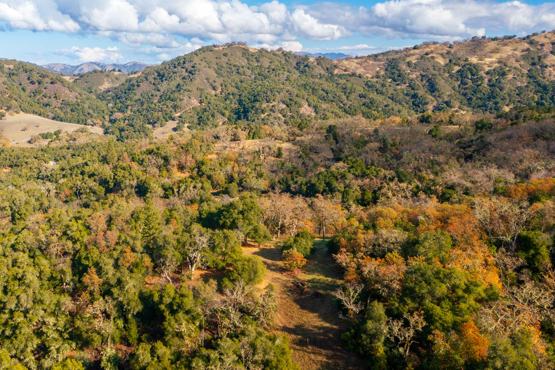  36 Arroyo Sequoia - 物件實景