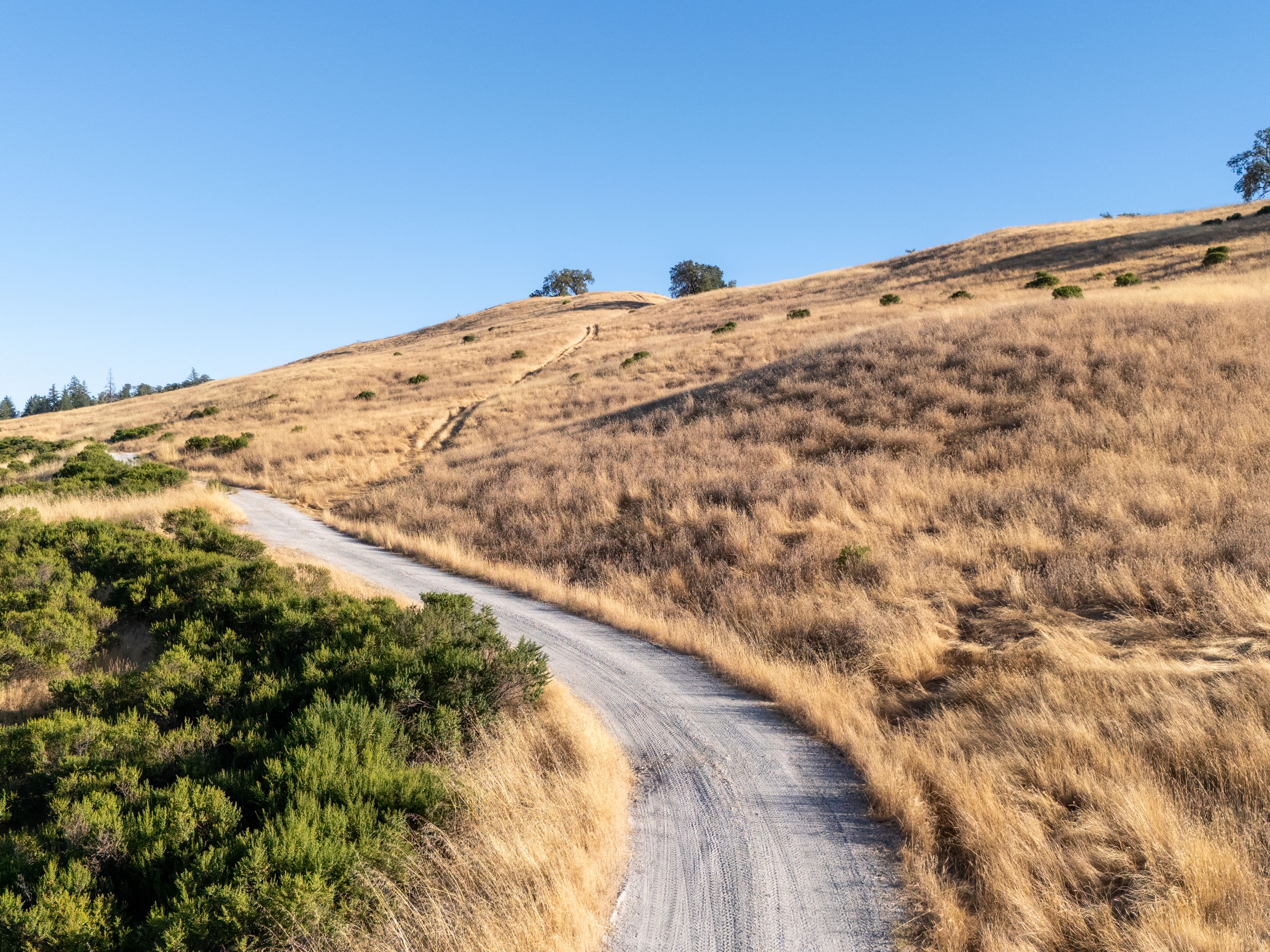  Very Rare Opportunity Alexander Valley Ranch - 物件實景