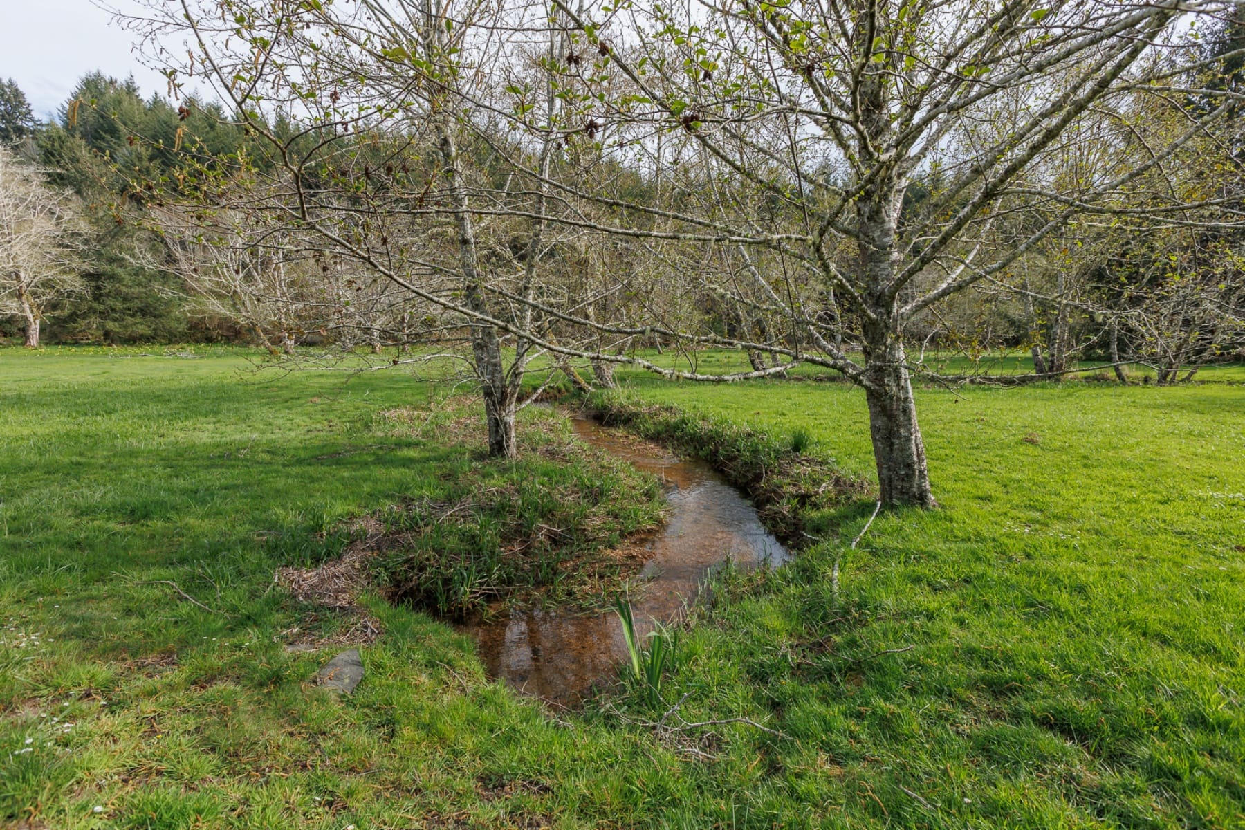  626 N BAYVIEW LOOP Waldport, OR 97394 - 物件實景