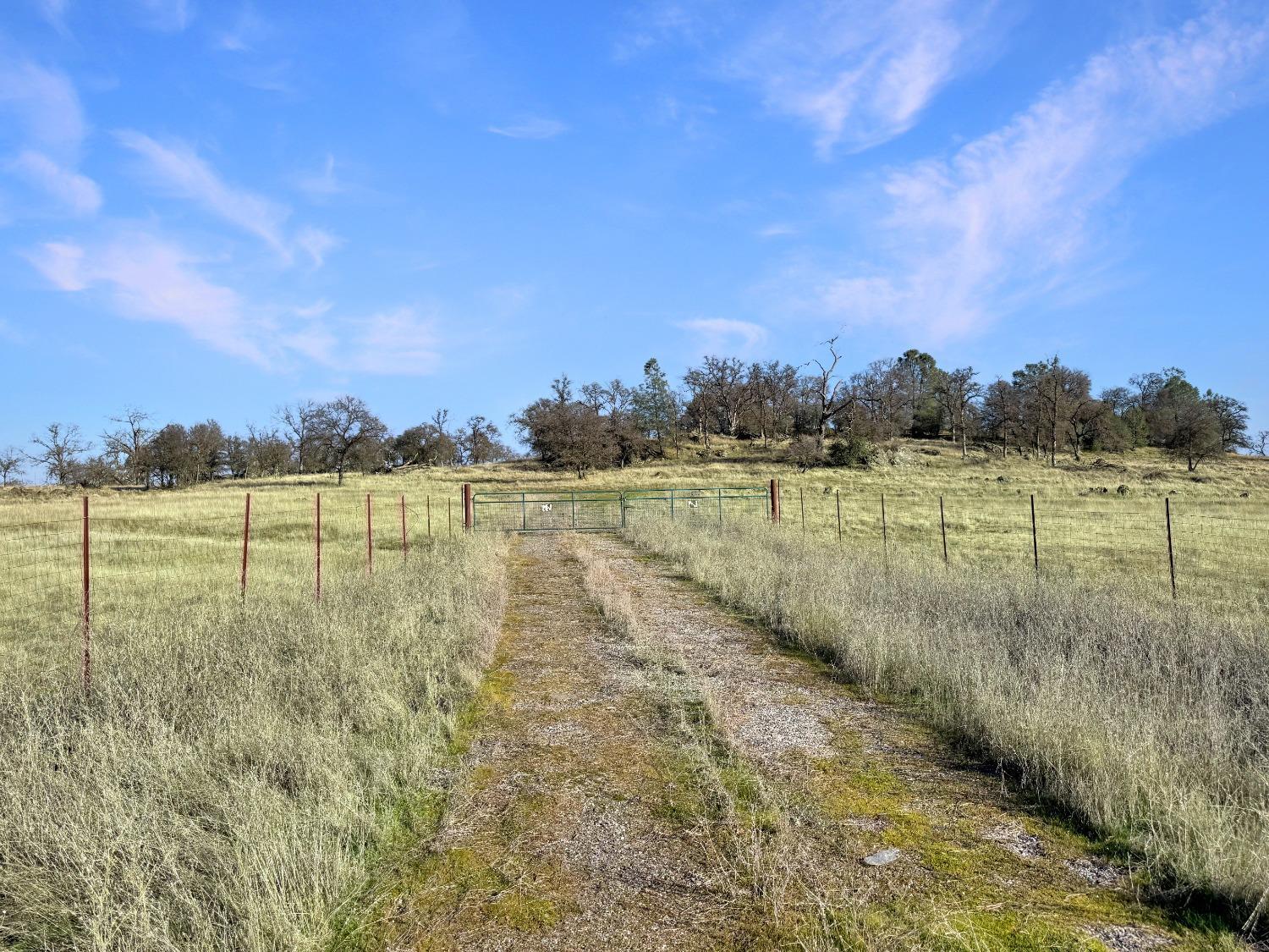 Cool, California, 95614, United States, ,Land,For Sale,1994251