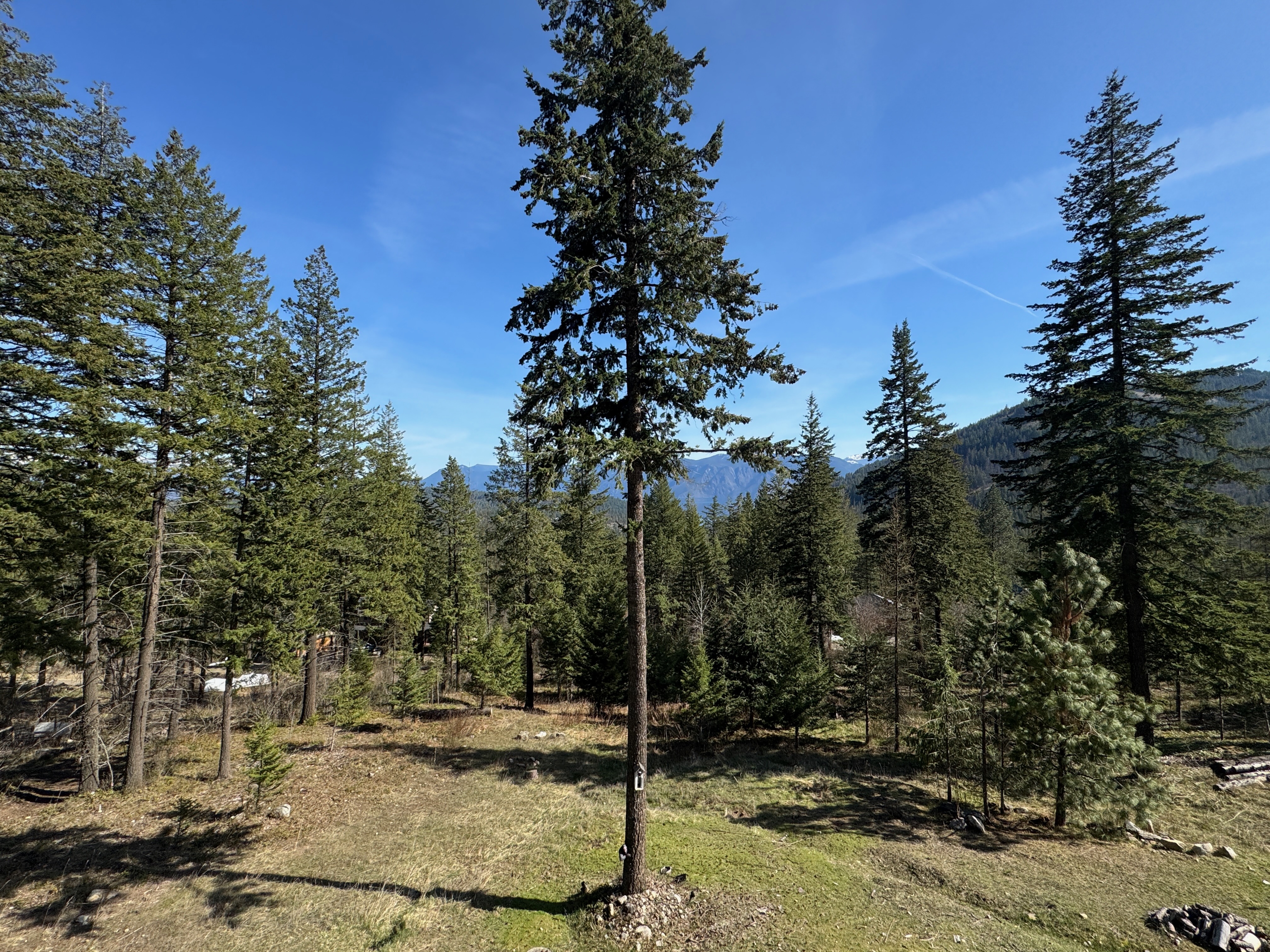 Sagle, Idaho, 83860, United States, 3 Bedrooms Bedrooms, ,3 BathroomsBathrooms,Residential,For Sale,1792364