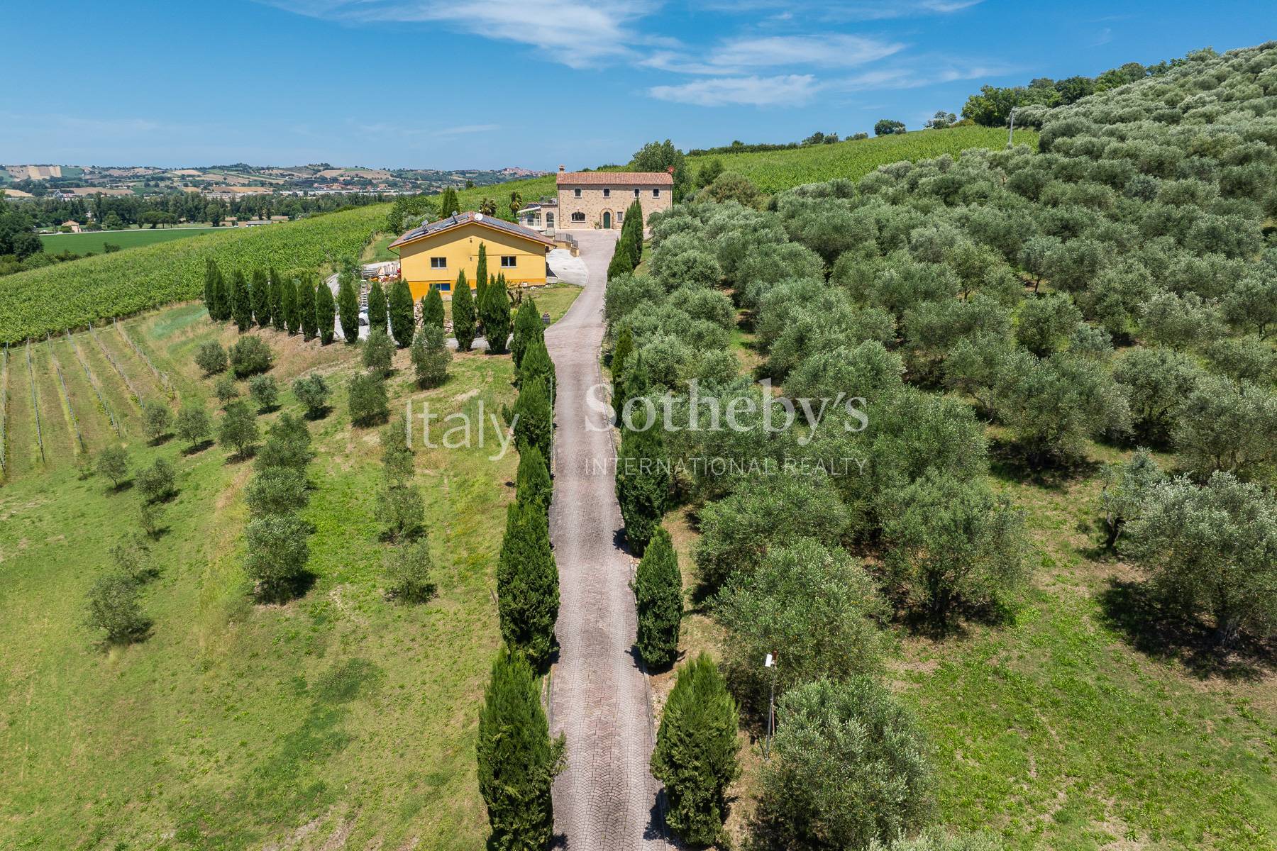  Elegant Contemporary Residence with Vineyard Near the Sea - 物件實景