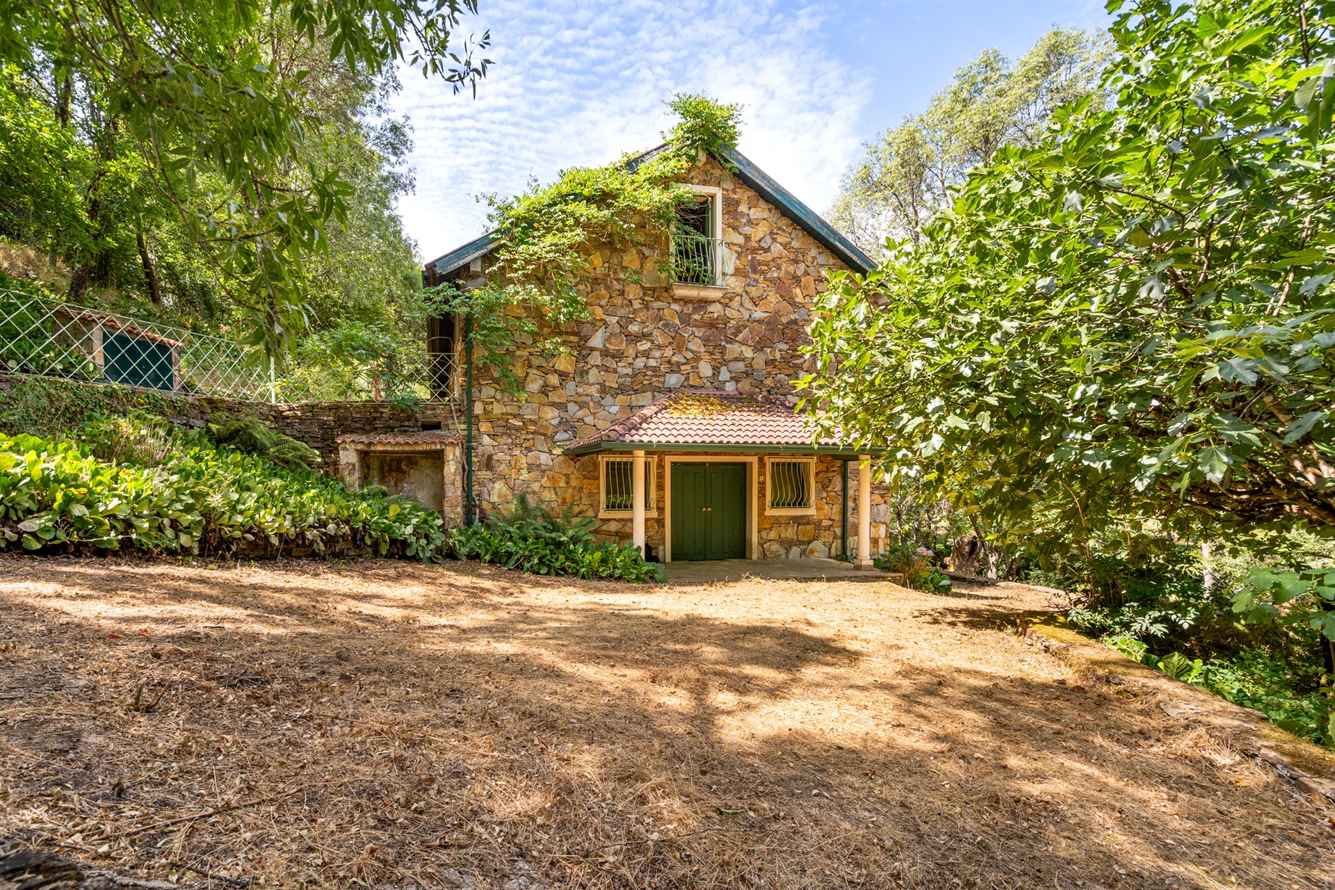  Farm, 5 bedrooms, for Sale - 物件實景
