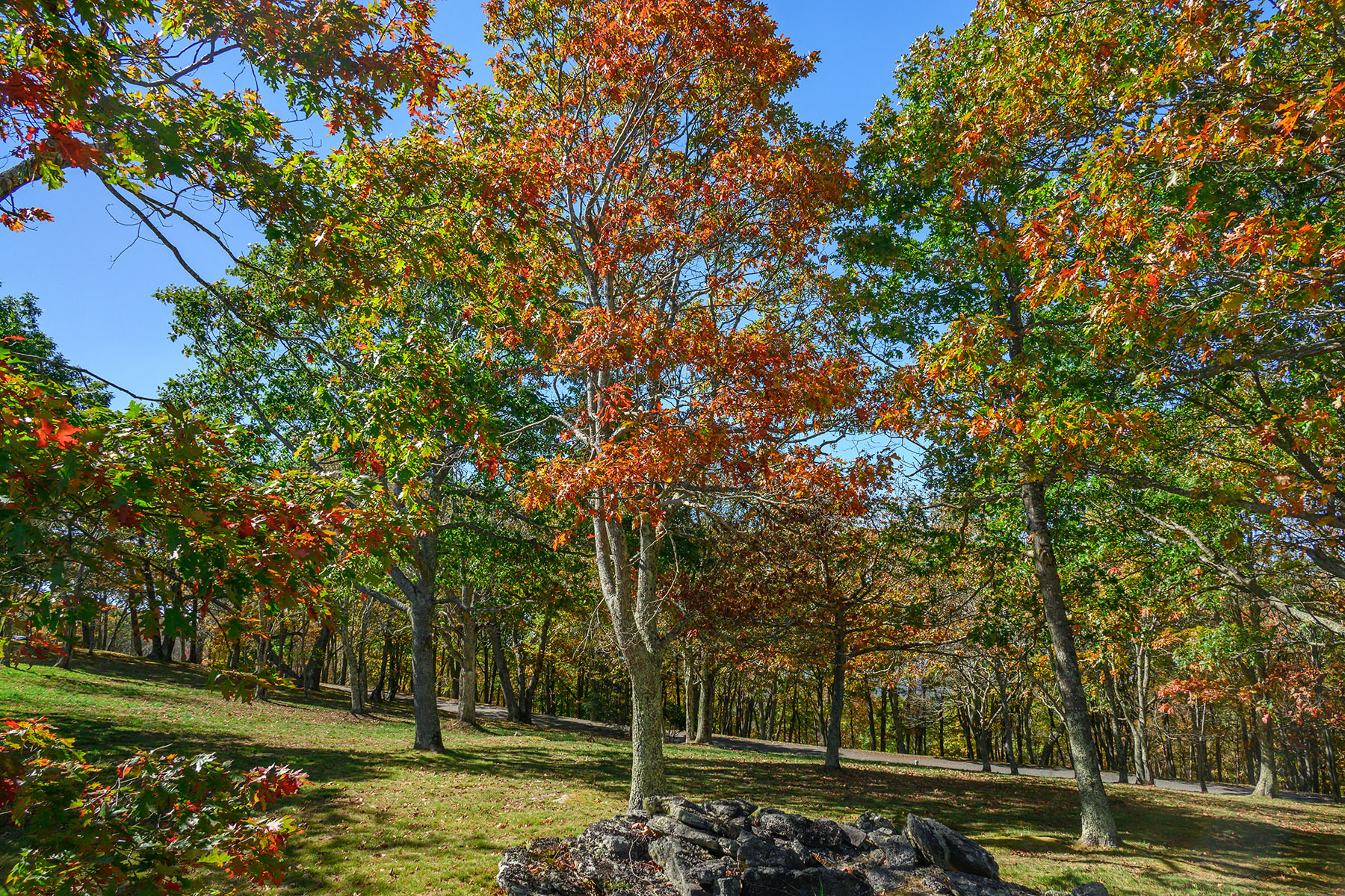  BANNER ELK - ROCKY KNOB - 物件實景