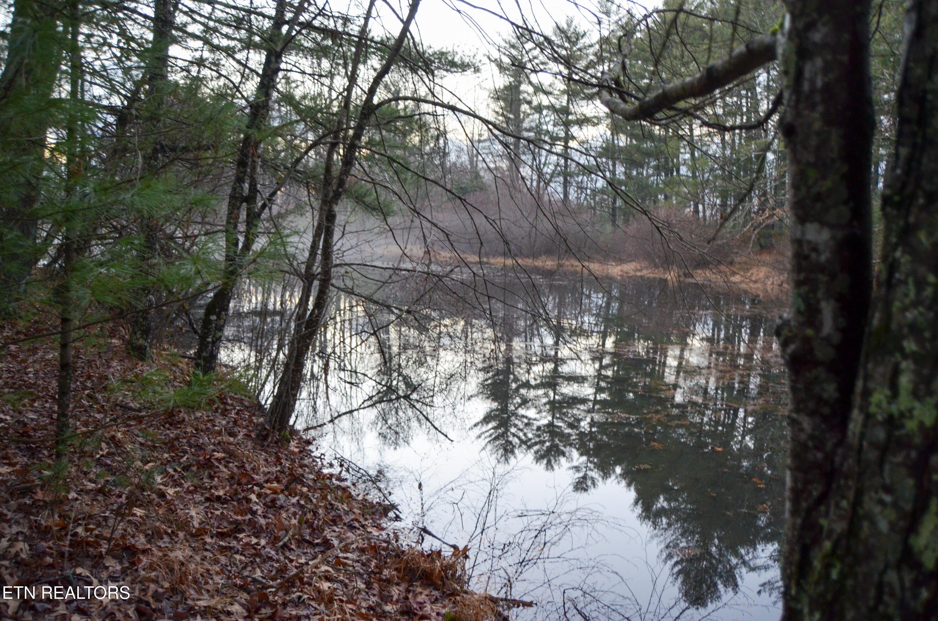 Crossville, Tennessee, 38555, United States, ,Land,For Sale,1983294