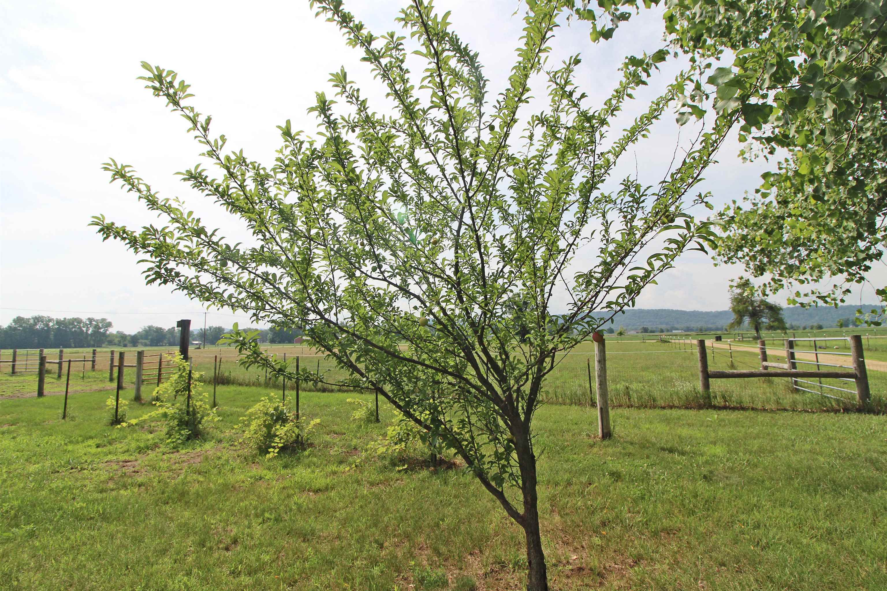 Arena, Wisconsin, 53503, United States, 3 Bedrooms Bedrooms, ,2 BathroomsBathrooms,Residential,For Sale,1980037